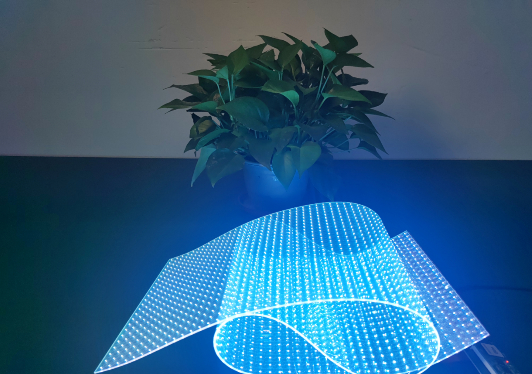 随贴-透明薄膜屏全场景应用方案创领者! led晶膜屏源头工厂