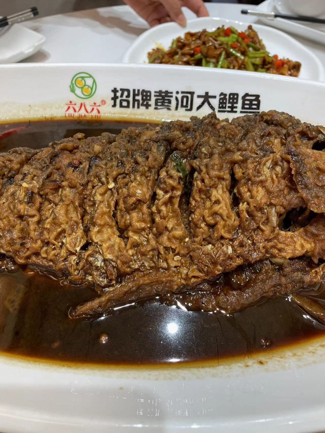 黄河大鲤鱼简介内容图片