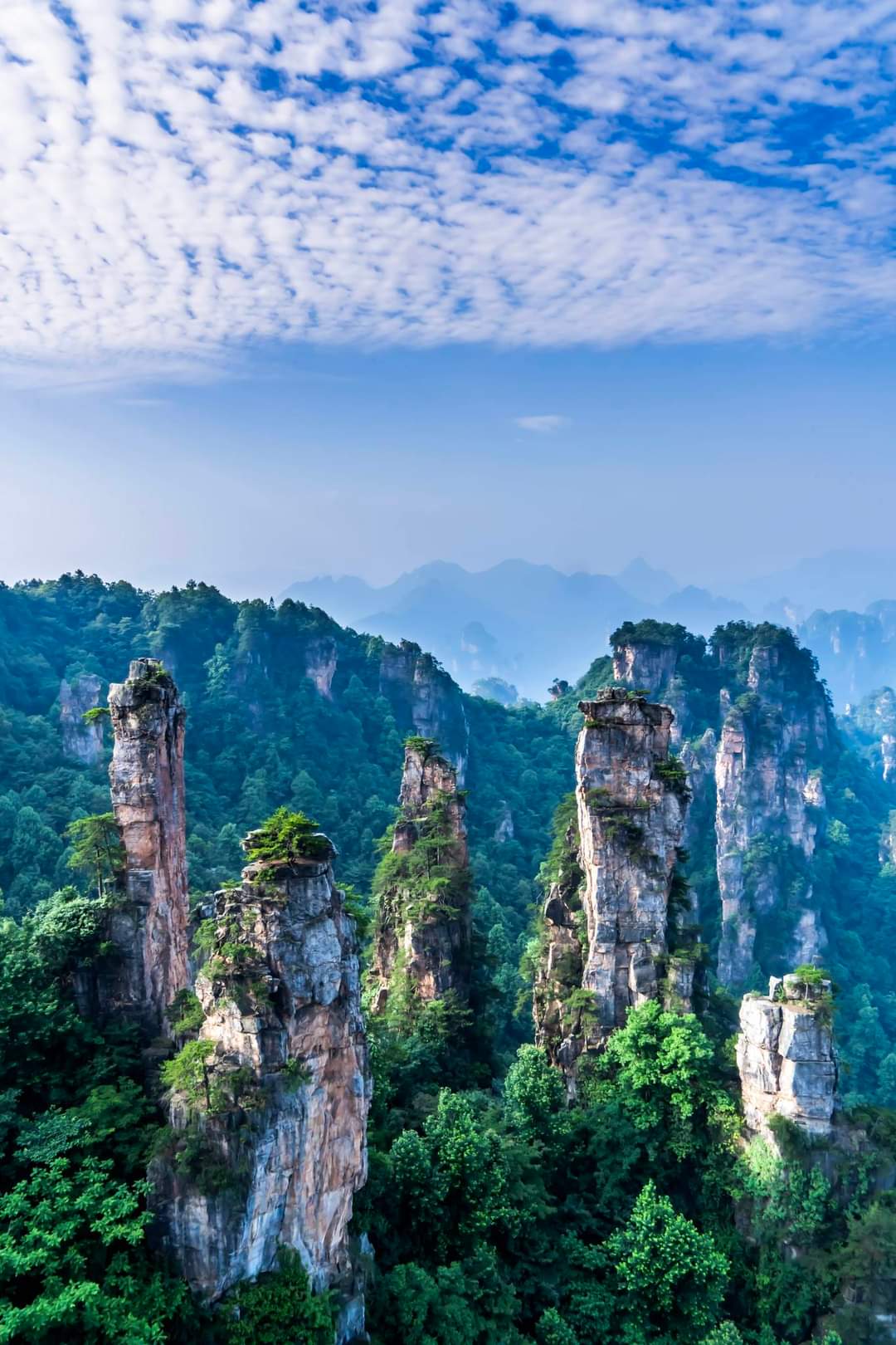 张家界风景真实图片