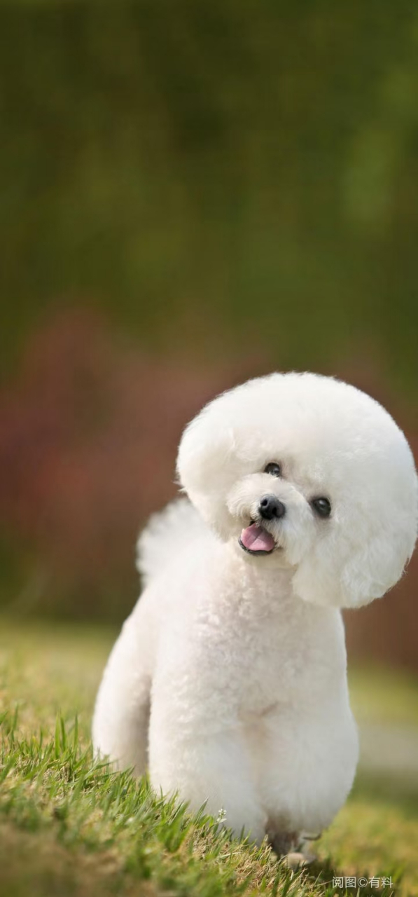 搜索用百度 有事问度娘,和我一样的都有谁?