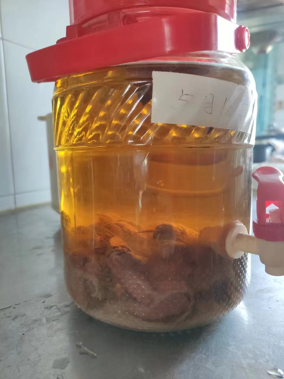 50只,每天一杯自制雄蛾酒,记录生活的小幸福,雄蚕蛾泡酒好处多