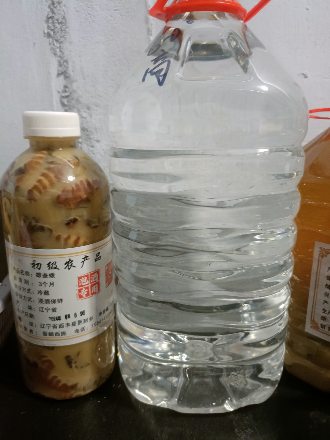 50只,每天一杯自制雄蛾酒,记录生活的小幸福,雄蚕蛾泡酒好处多