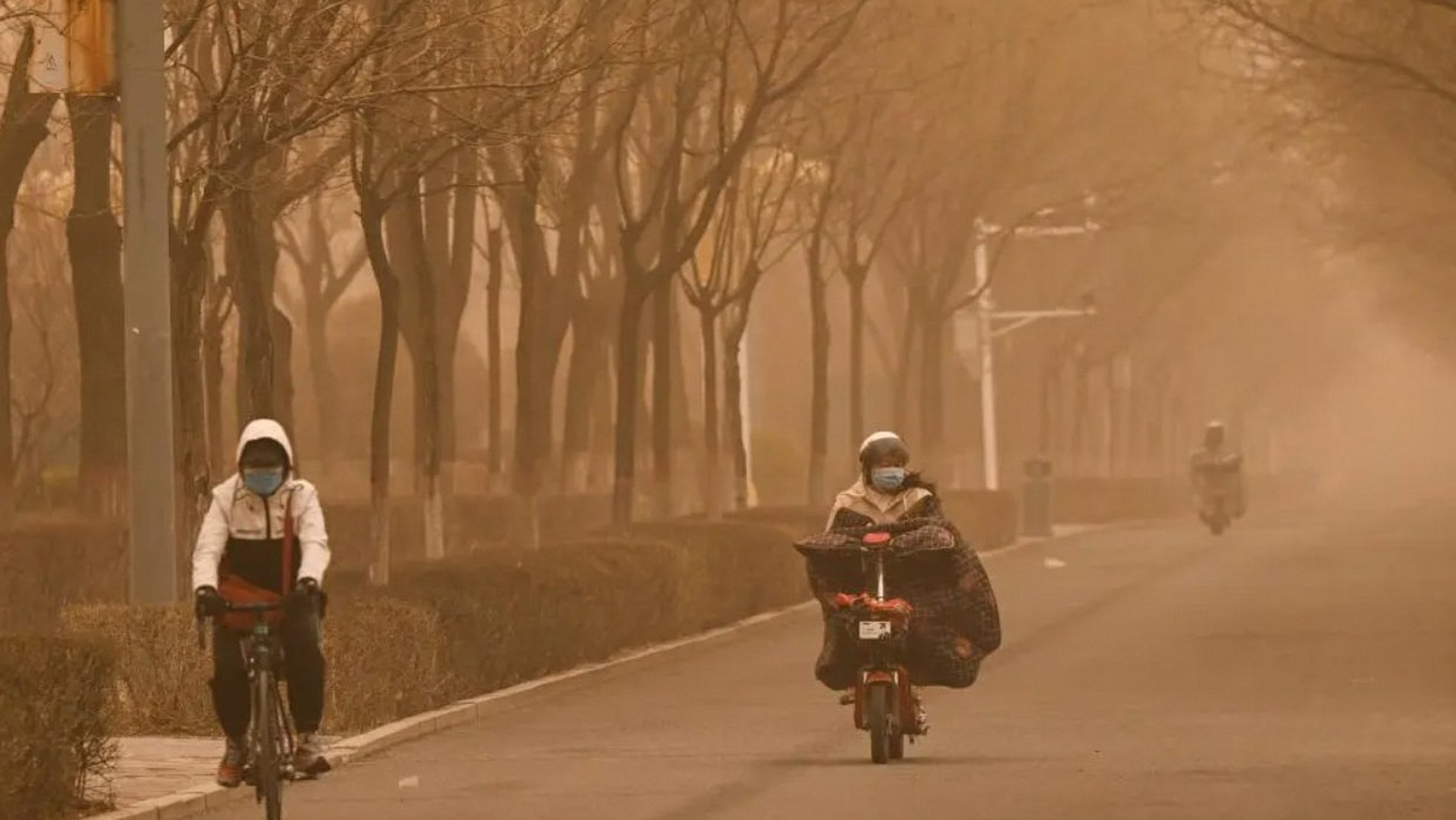 春天风沙肆虐,但我们通过几年的努力终于让pm2.5消声匿迹了.