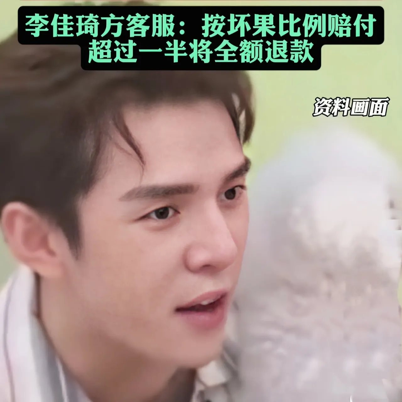 李佳琦停播的简单介绍
