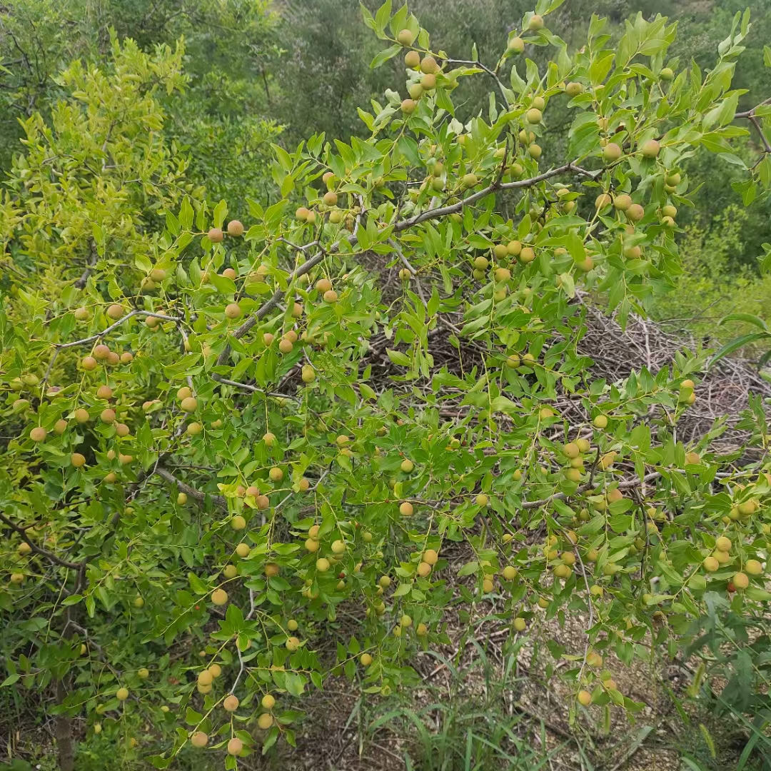 不需要落不了地的员工. 当员工的光环大过老板,她一定要走