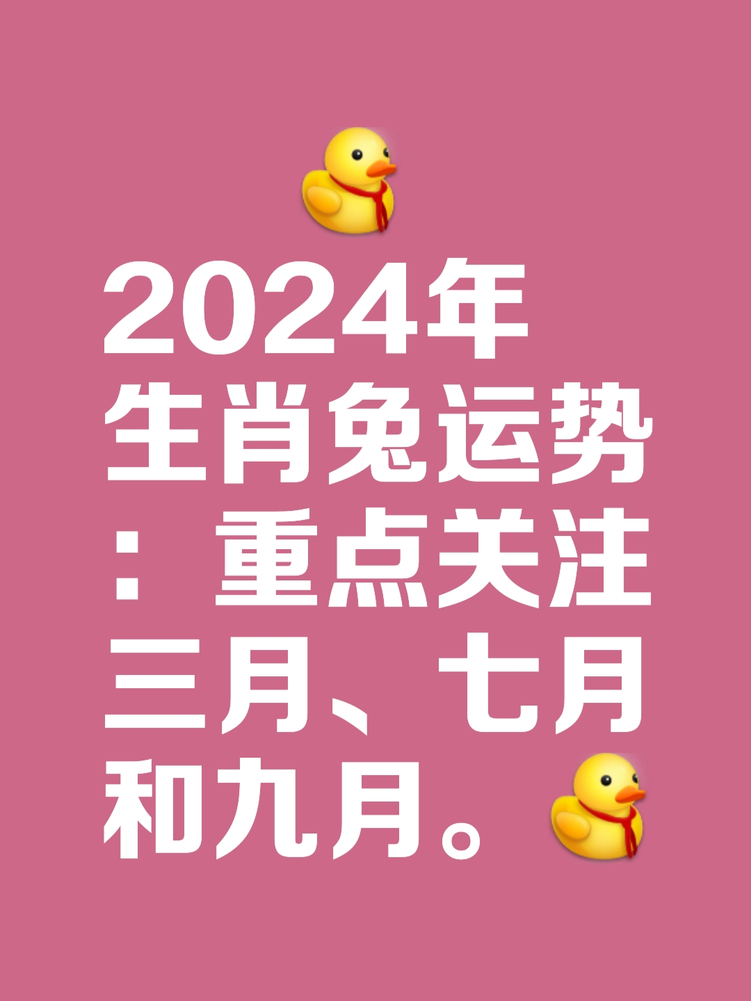 生肖兔人明天运势(生肖兔人明天运势如何)