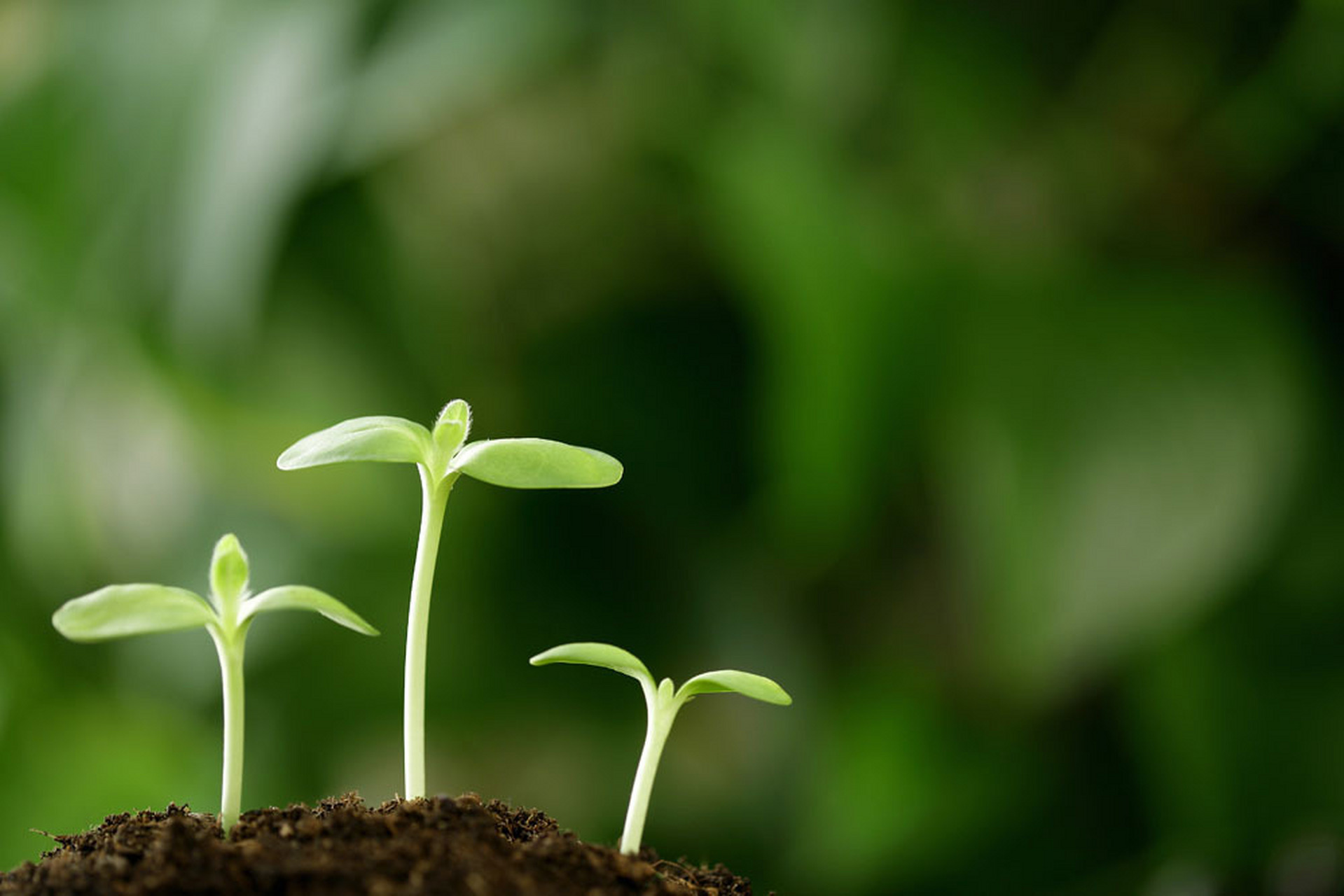 励志人生# 成长的这个过程,就像是手里拿着一大串的钥匙去开门一样