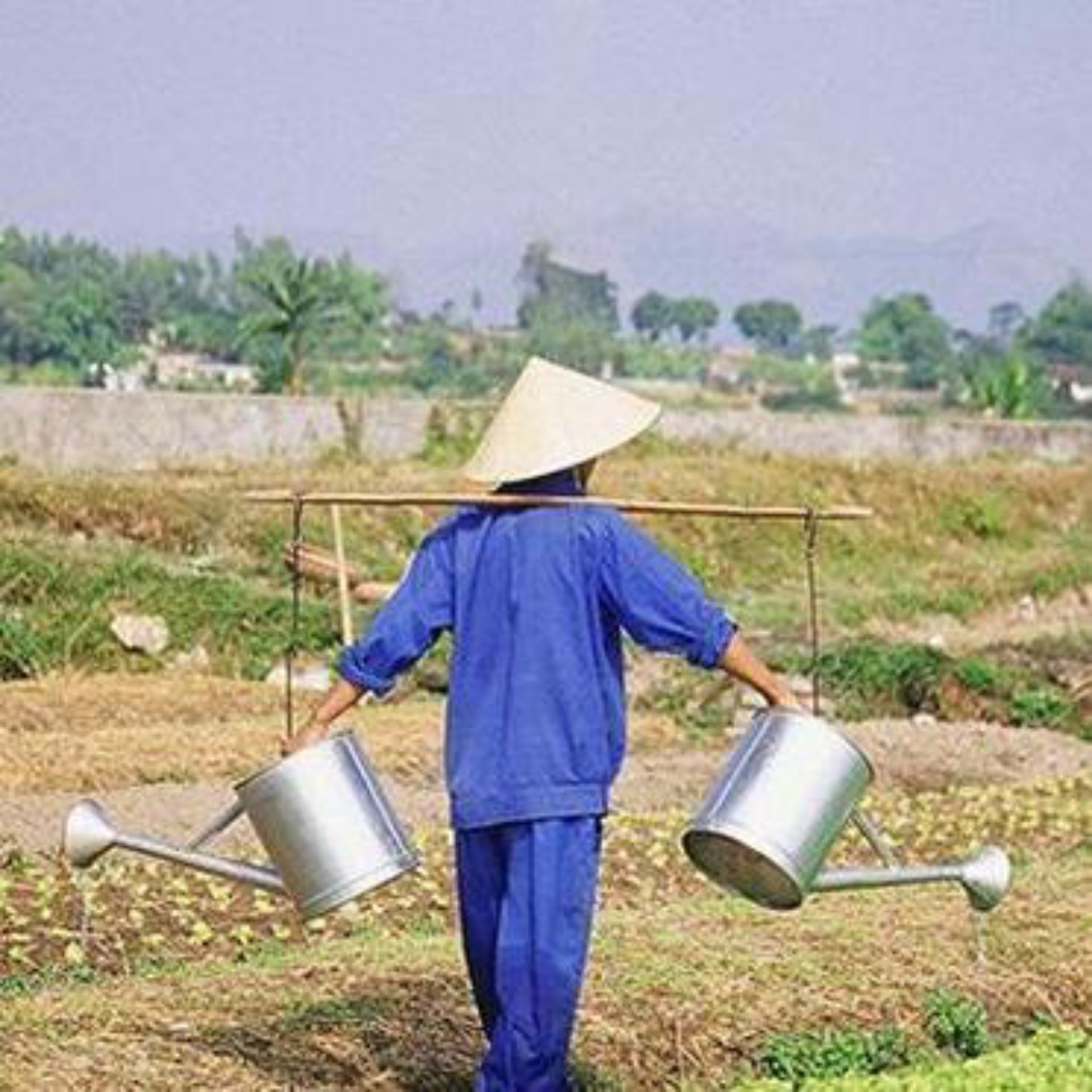 有没有发现农村干体力活的中老年男到六十多岁发量还很多,又黑又浓