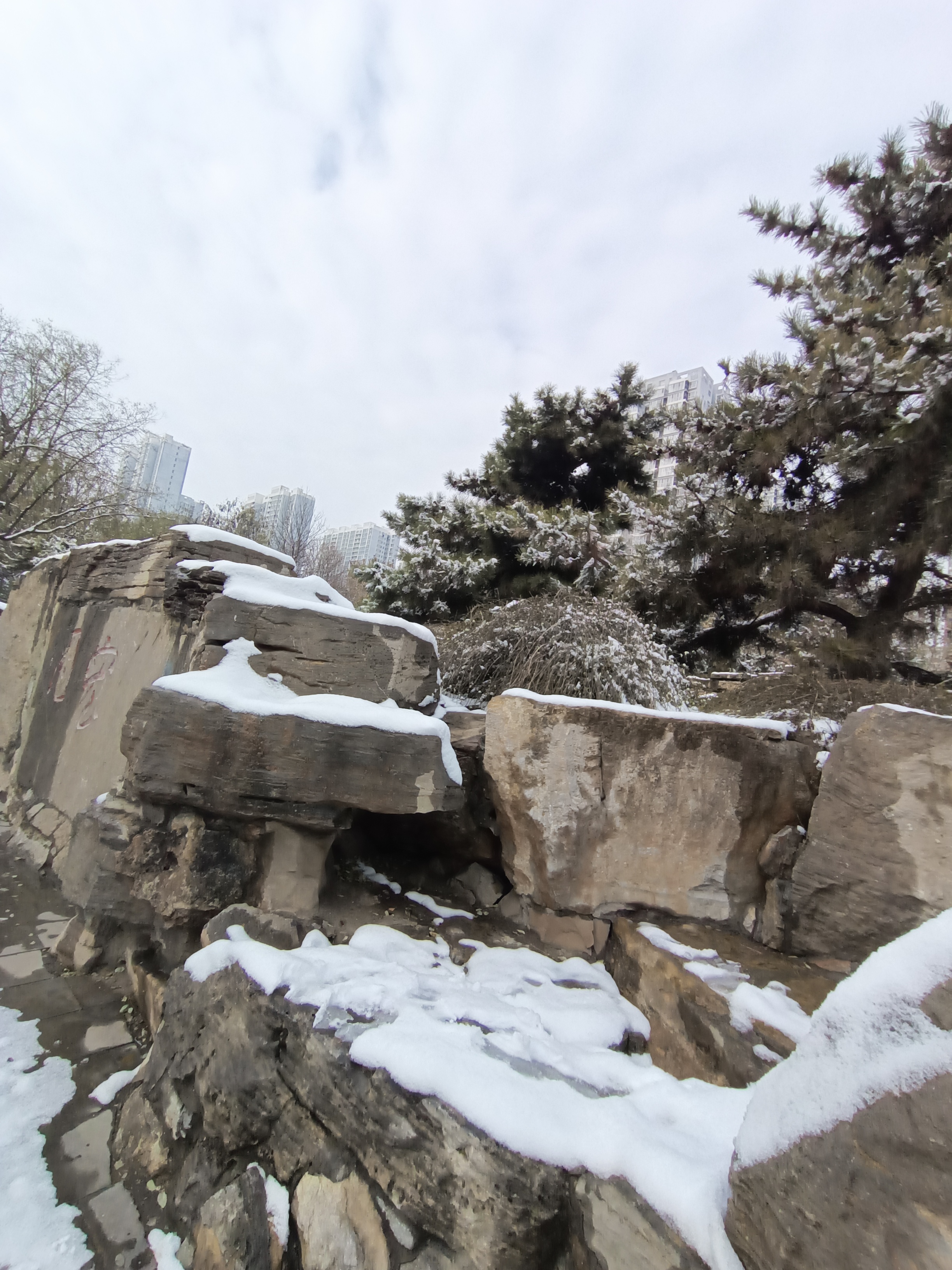 昨天石家庄市降了一场大雪,我在闹市里的赵佗公园随手拍了一些照片