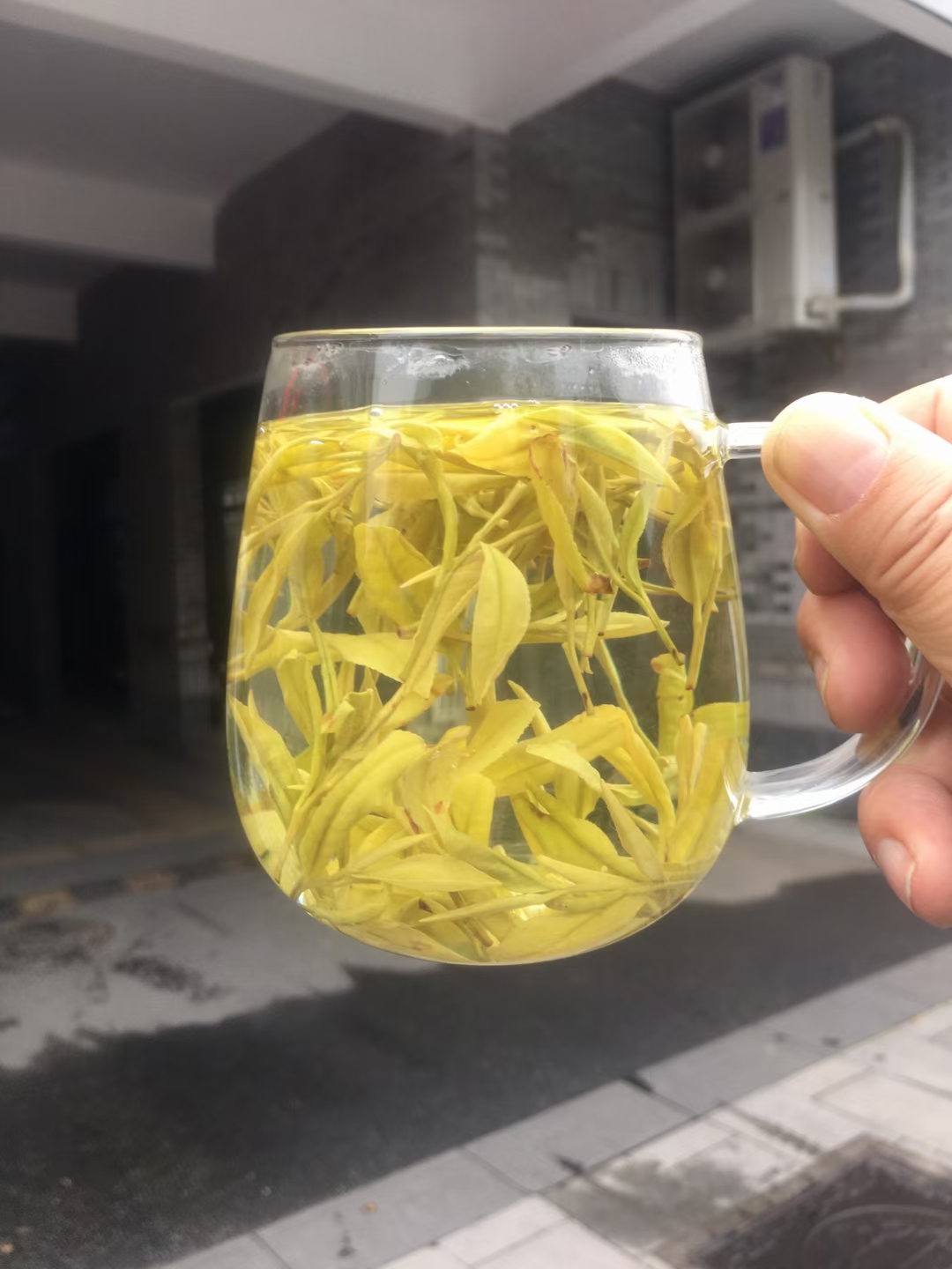 安吉黄金叶(绿茶)