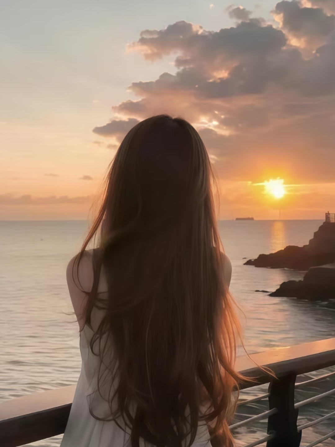 爱的囚鸟   在那座被细雨朦胧了轮廓的南方小城,我和许言的故事,像一