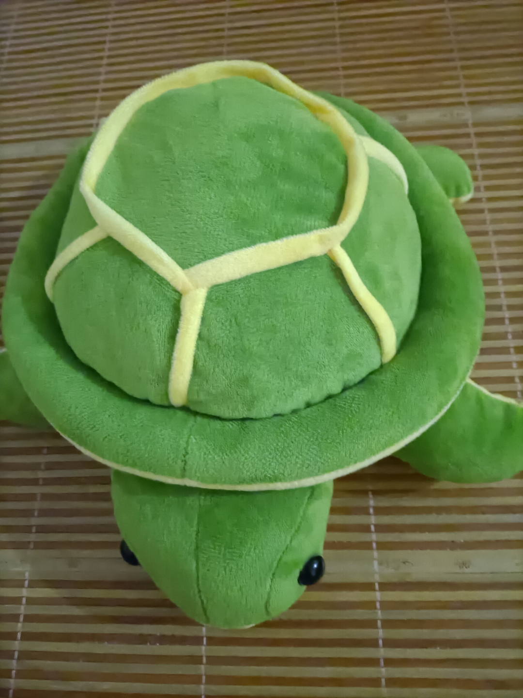这只小乌龟,陪我度过每个快乐的时光.