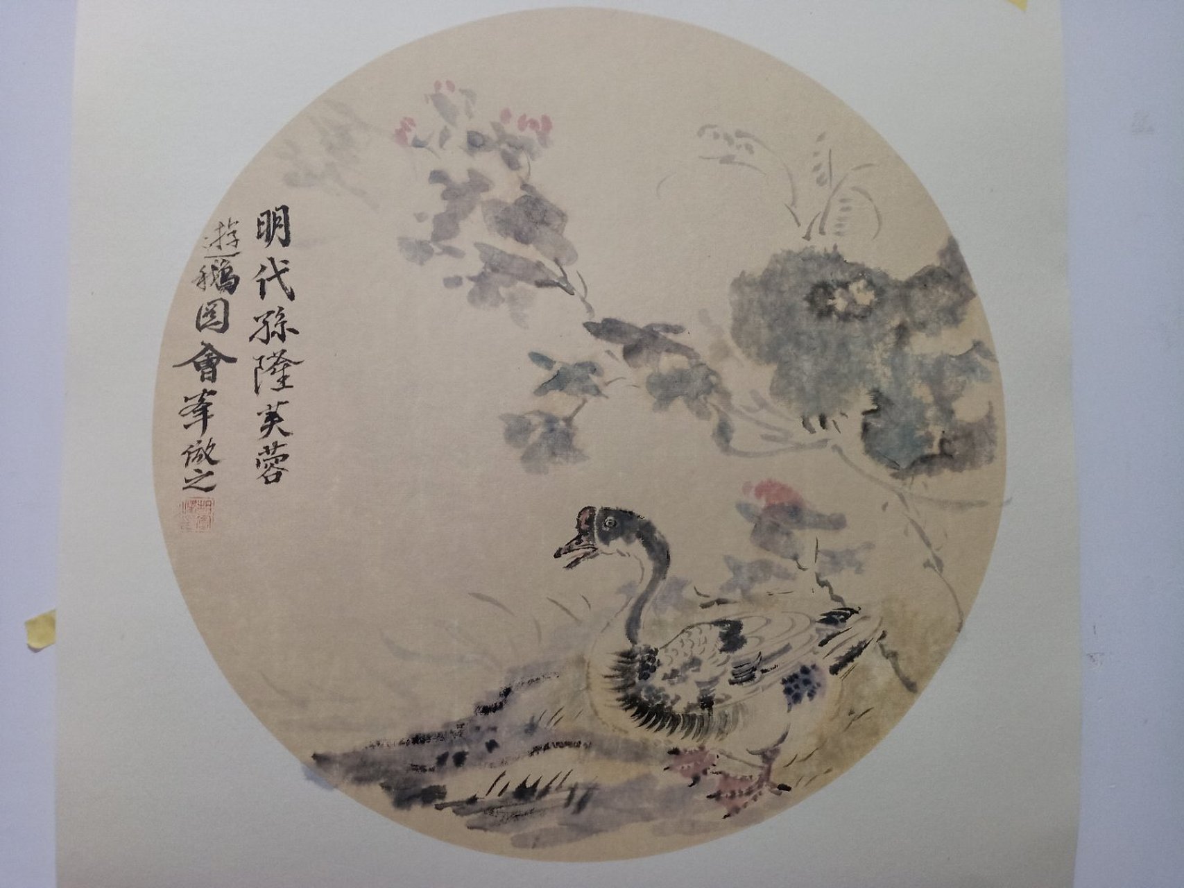 仿明代孙隆《芙蓉游鹅图 松月堂书画胡会峰作品