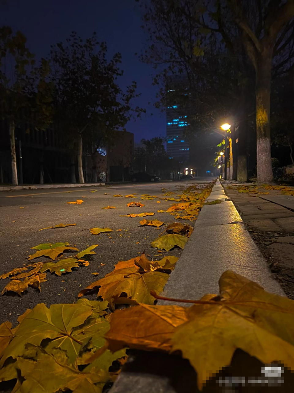 漫漫长夜,宁静而又深沉.在这无尽的黑暗中,显得更加孤单和寂寞.
