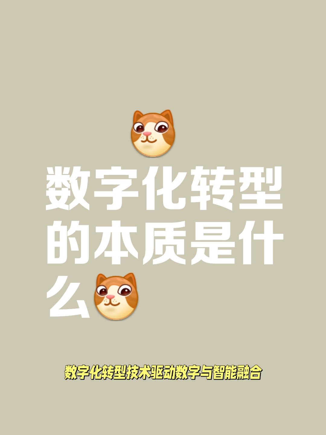 数字化转型的感悟