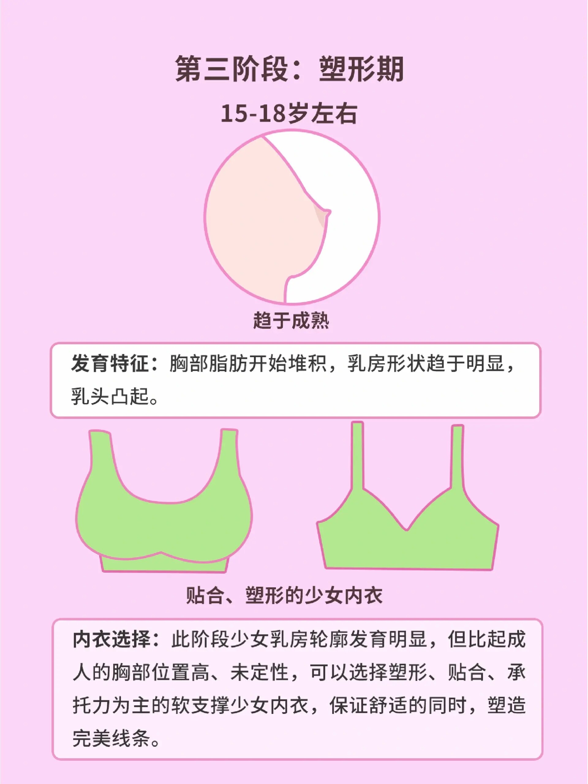 乳头正常真实有多大图片