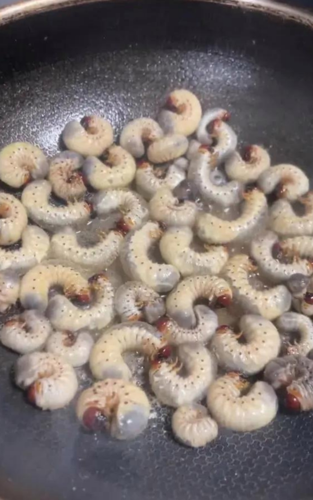 我80初的,我们喊它老母虫,小时花生地里收花生这种东西多的很,那时