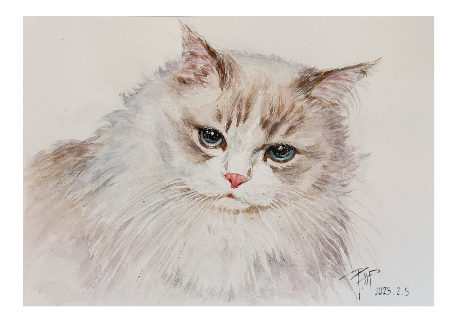 我家的猫咪水彩