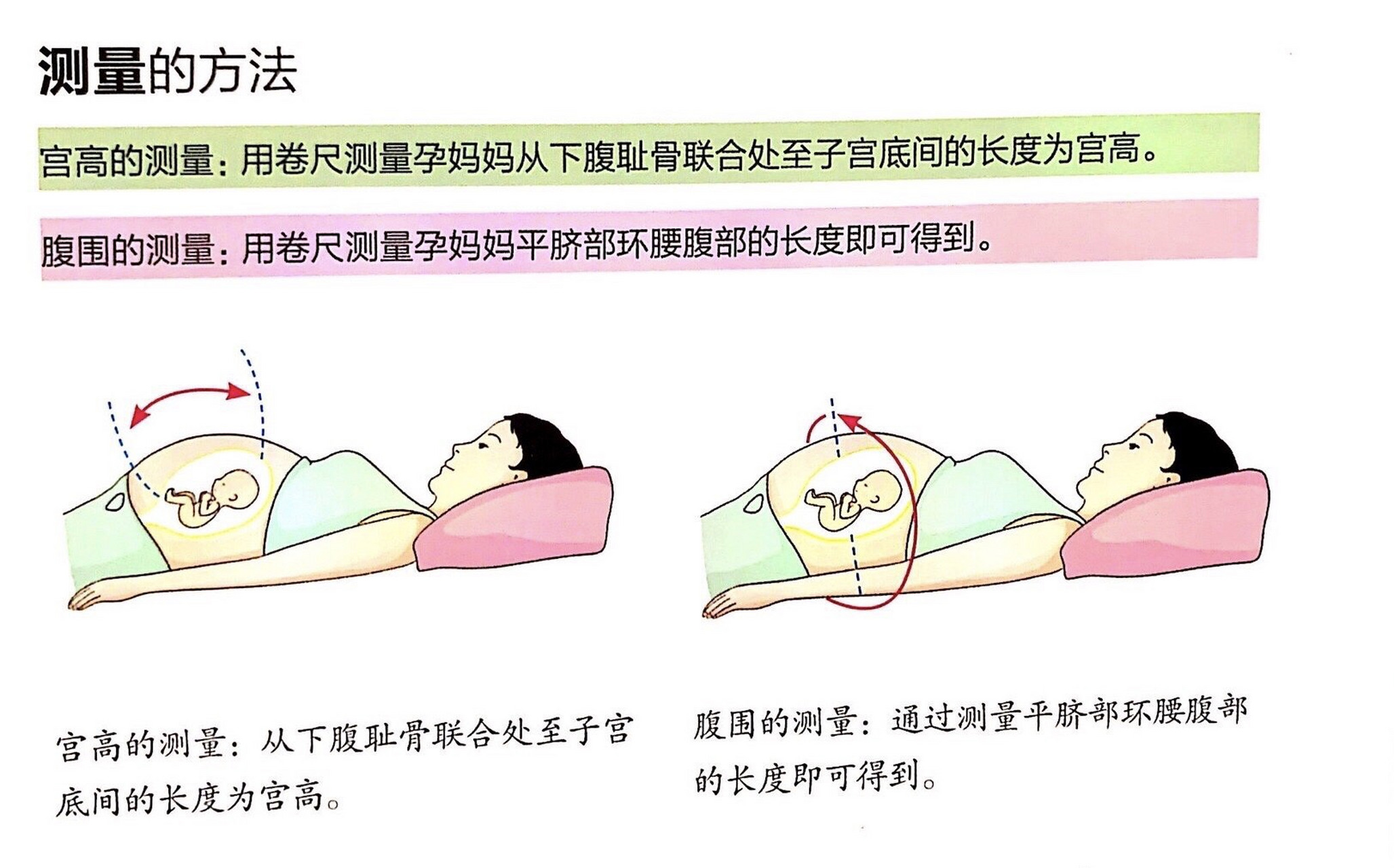 【孕期为什么要测量宫高和腹围?
