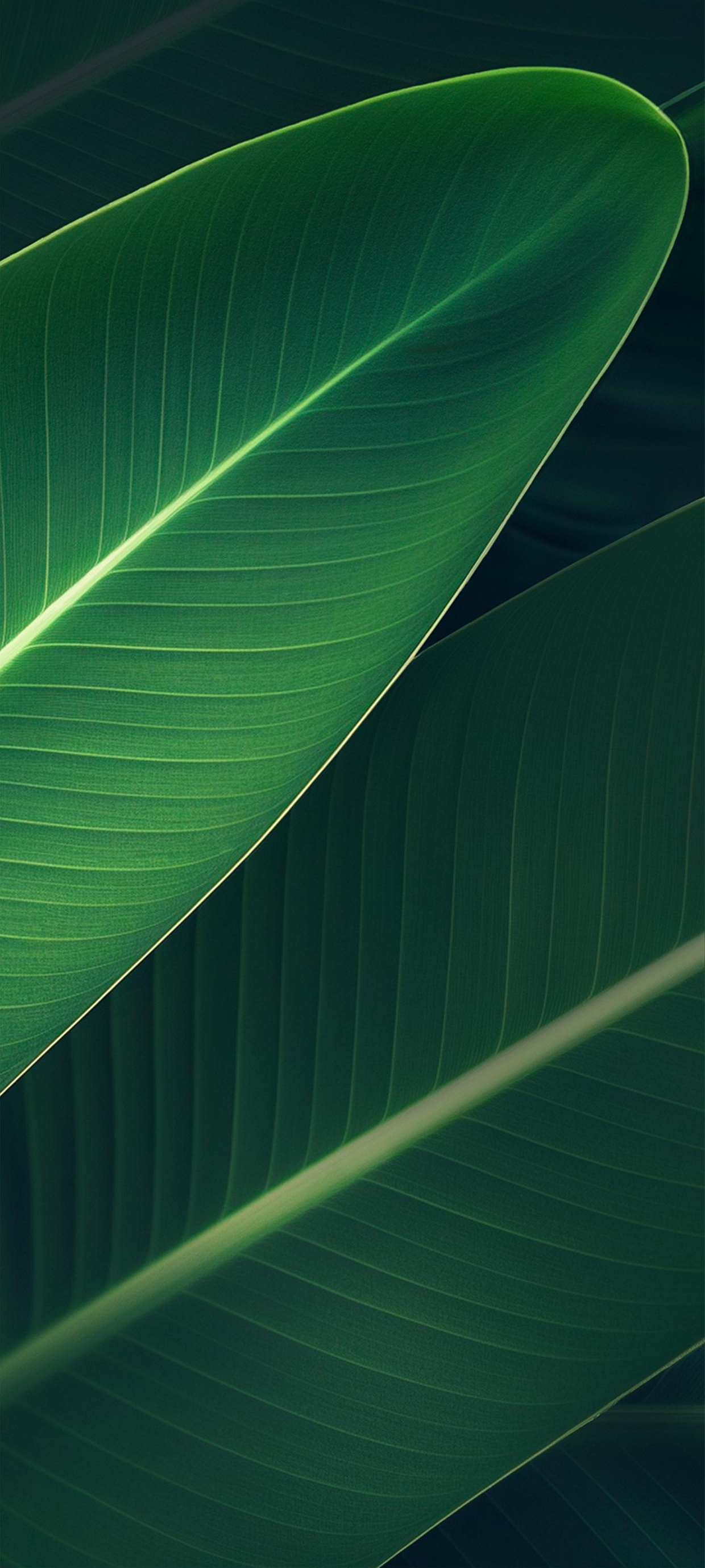 纯色彩抽象高清壁纸,送你新春祝福