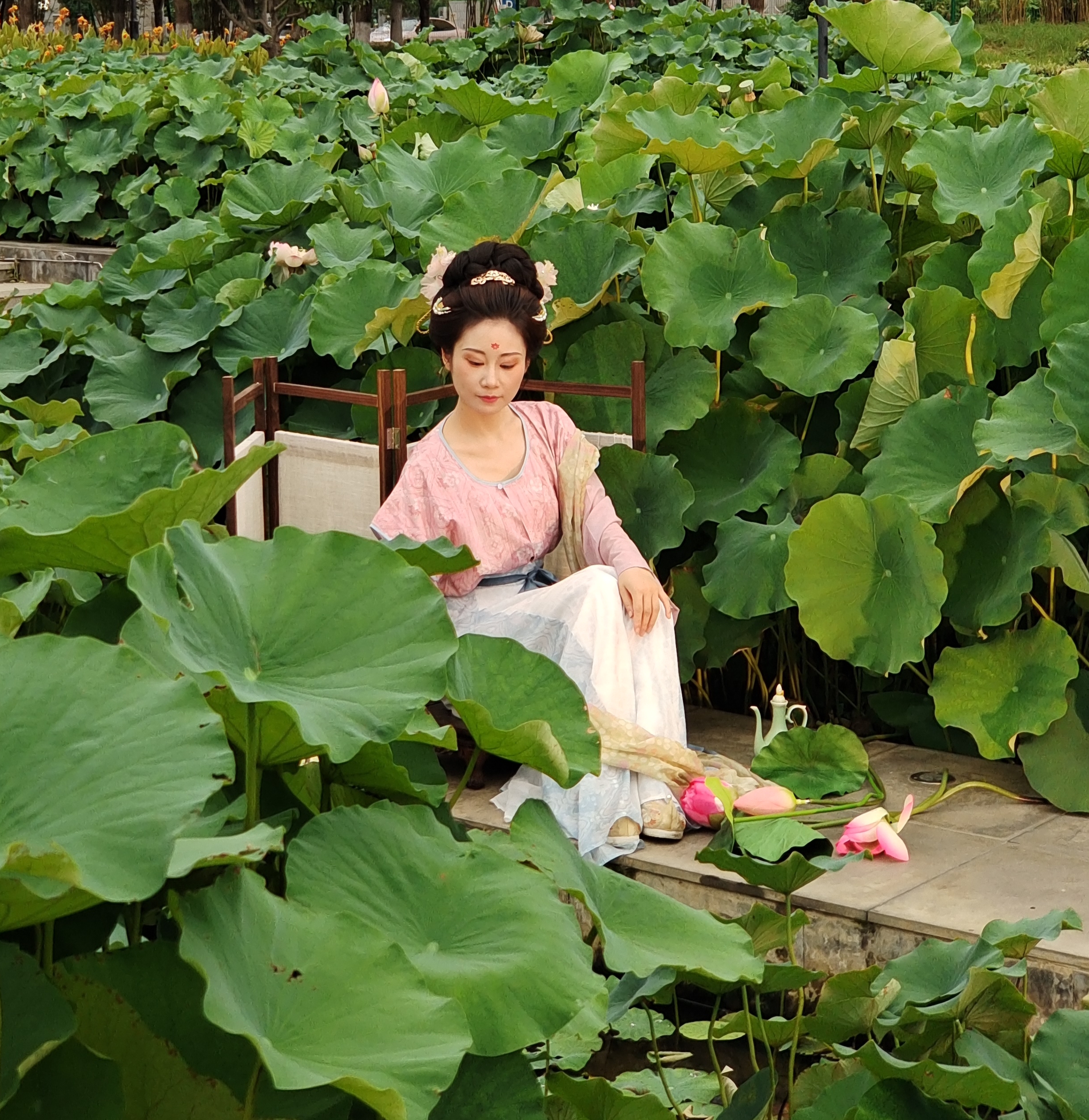 沙湖荷园,迷人的景色,吸引了一些美女模特前来拍照,留下难忘的足迹和