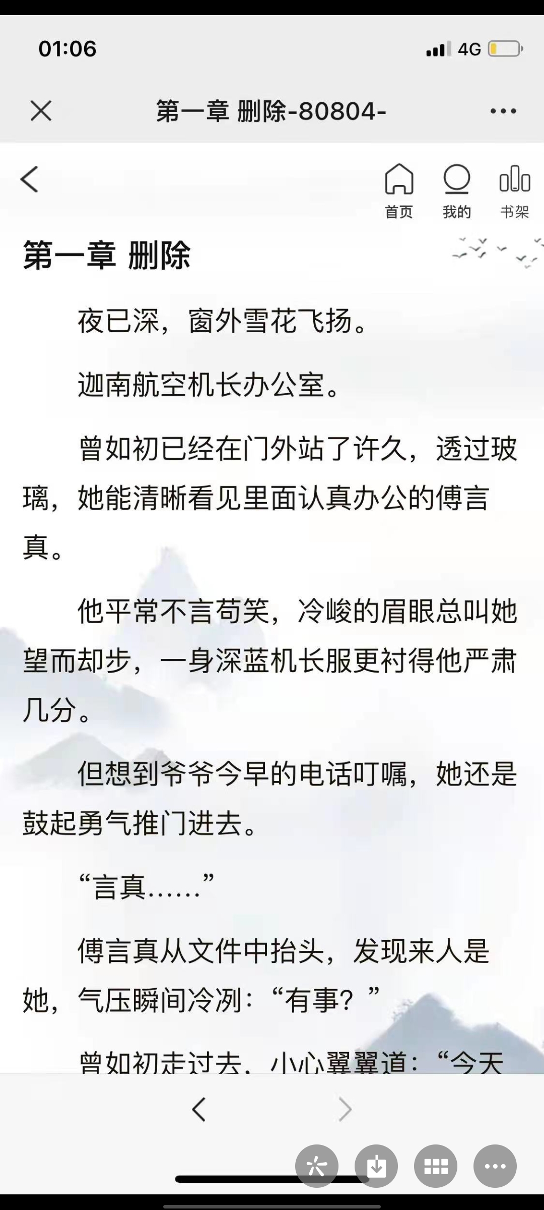 曾如初傅言真机长图片