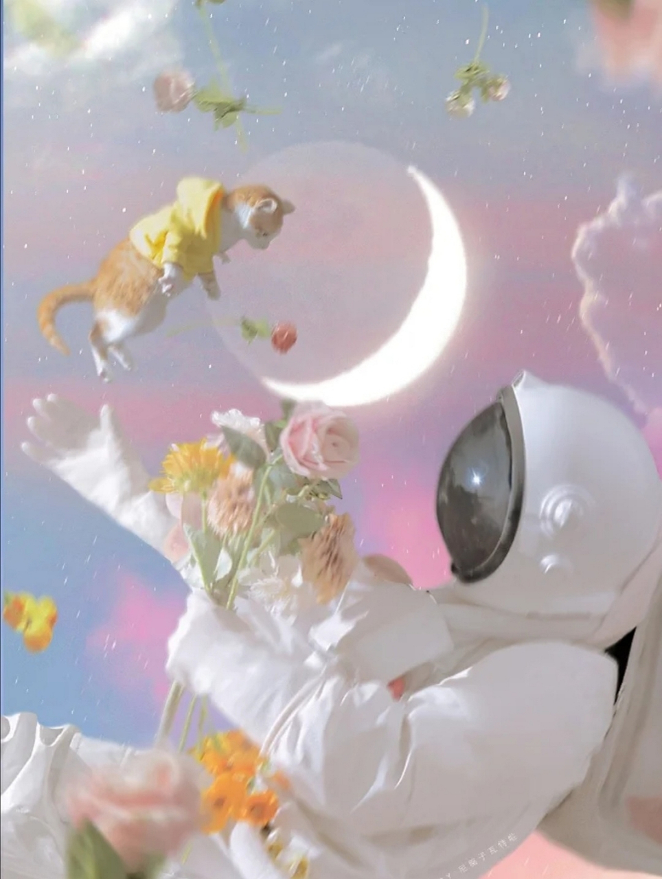 好康 摄影师:尼脑子瓦特啦