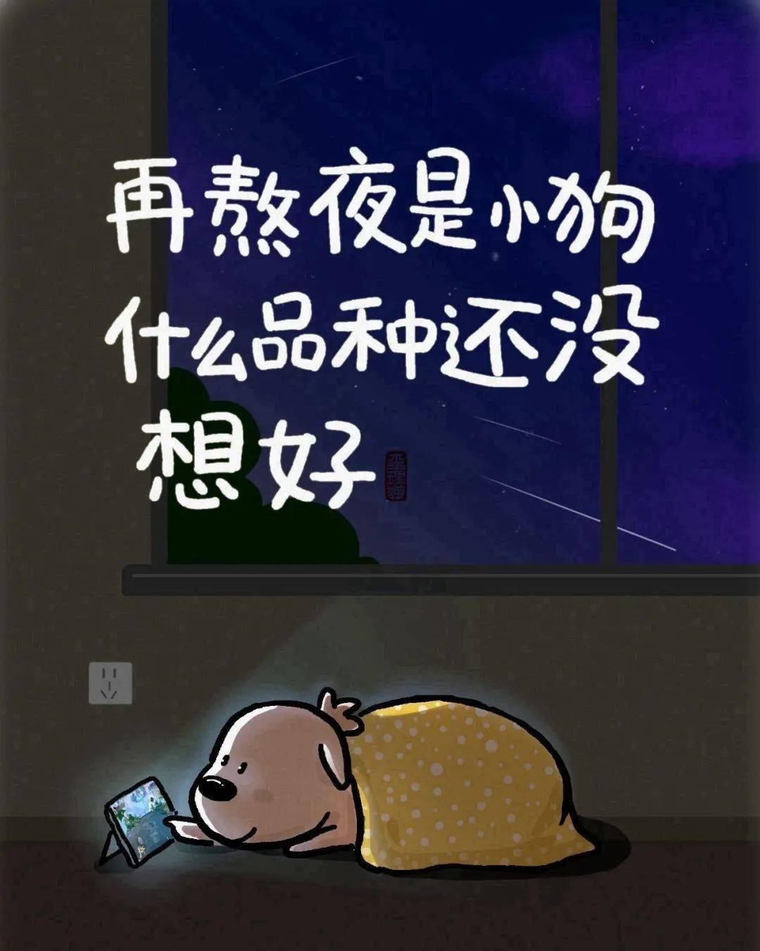 再熬夜,我就是下一只小狗,至于啥品种?还没有想好呢