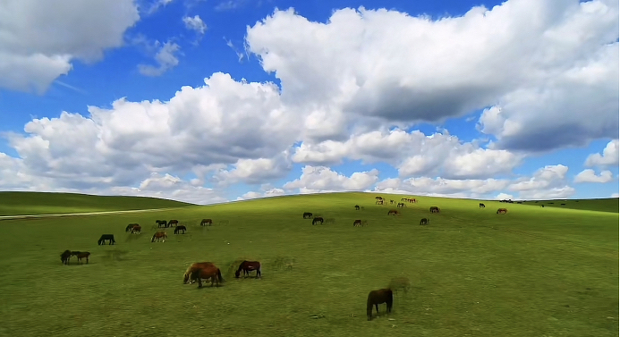 贡宝拉格草原:绿茵如海,天高云淡,牛羊满坡,骑行其间,仿佛步入一幅