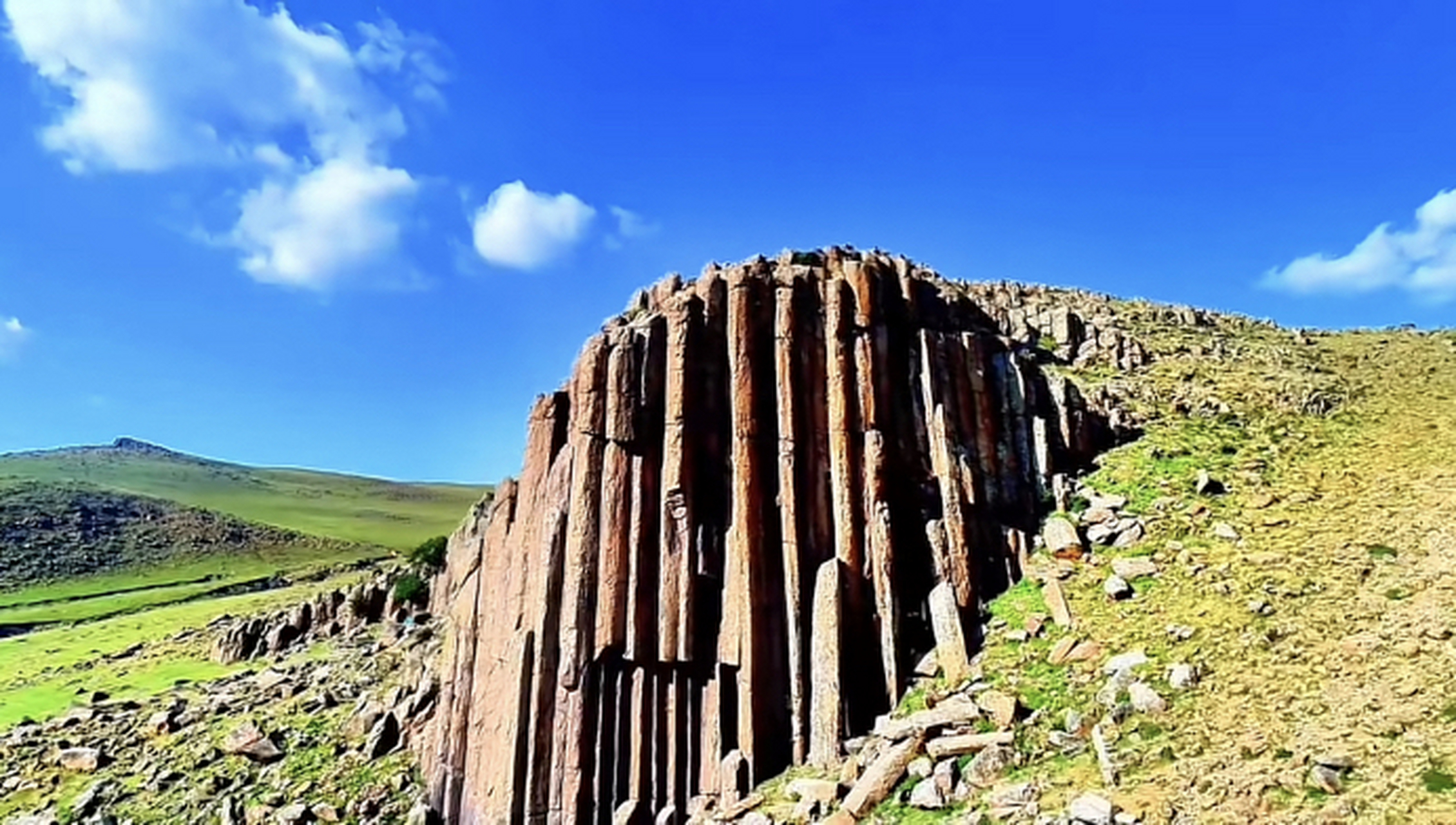 贡宝拉格草原:绿茵如海,天高云淡,牛羊满坡,骑行其间,仿佛步入一幅