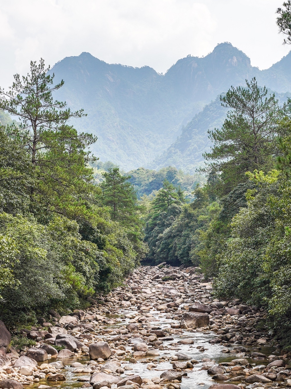 江西德兴避暑好地方 江西上饶德兴有座山叫大茅山,这里有个梧风洞景区
