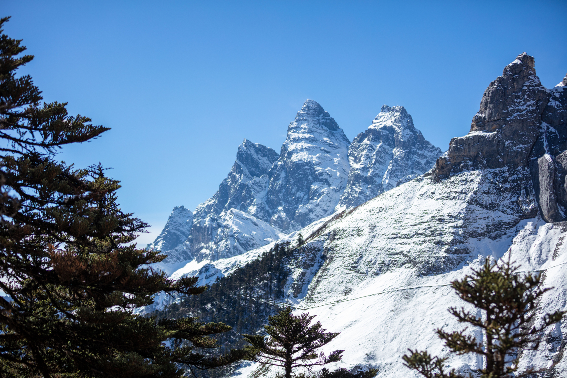 可以坐动车游香格里拉啦 在迪庆香格里拉,有一座雄伟的雪山:格宗雪 
