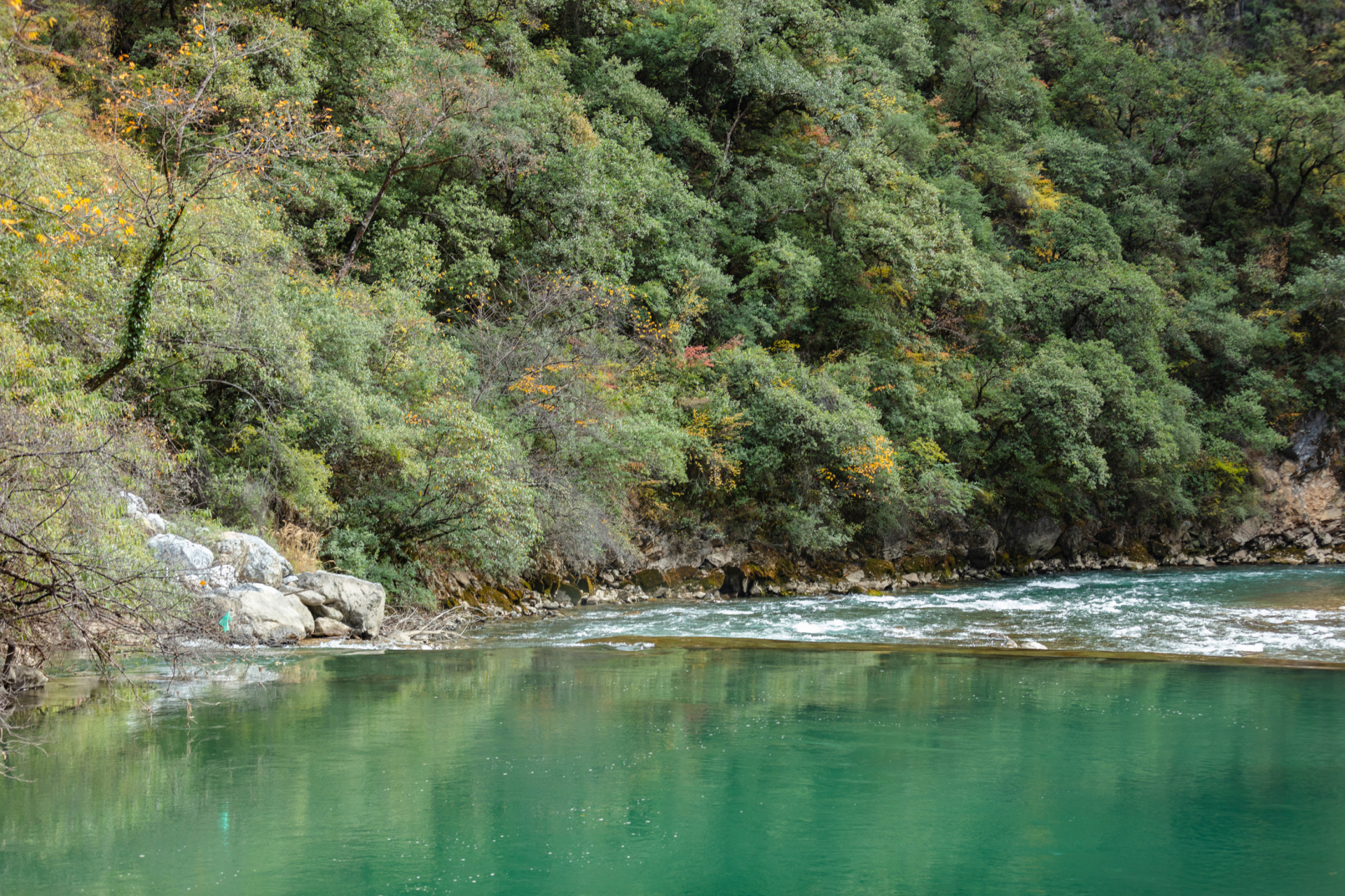 可以坐动车游香格里拉啦 在迪庆香格里拉,有一座雄伟的雪山:格宗雪 