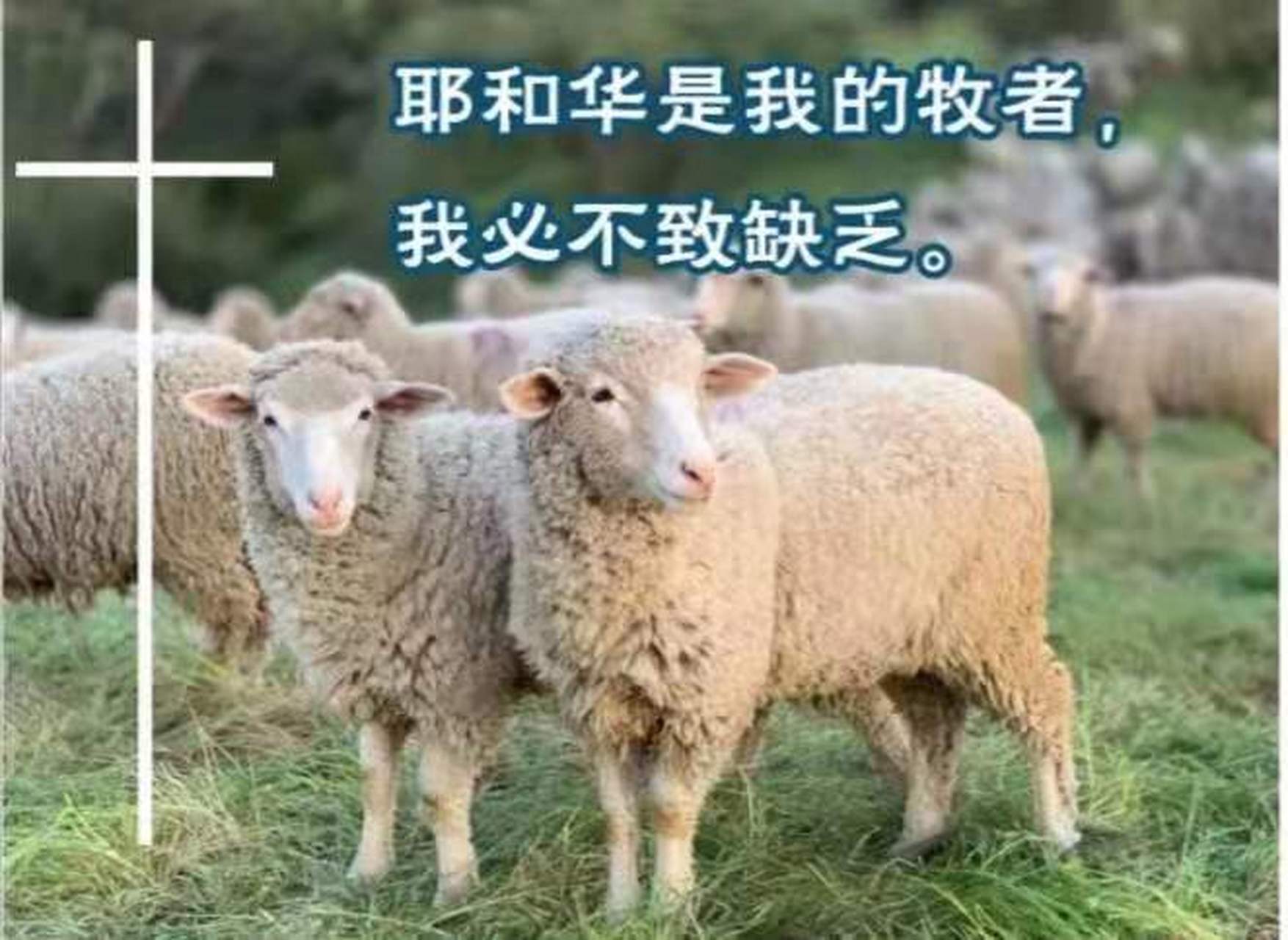 灵历集光(有音频),贾钰铭,盖恩夫人.