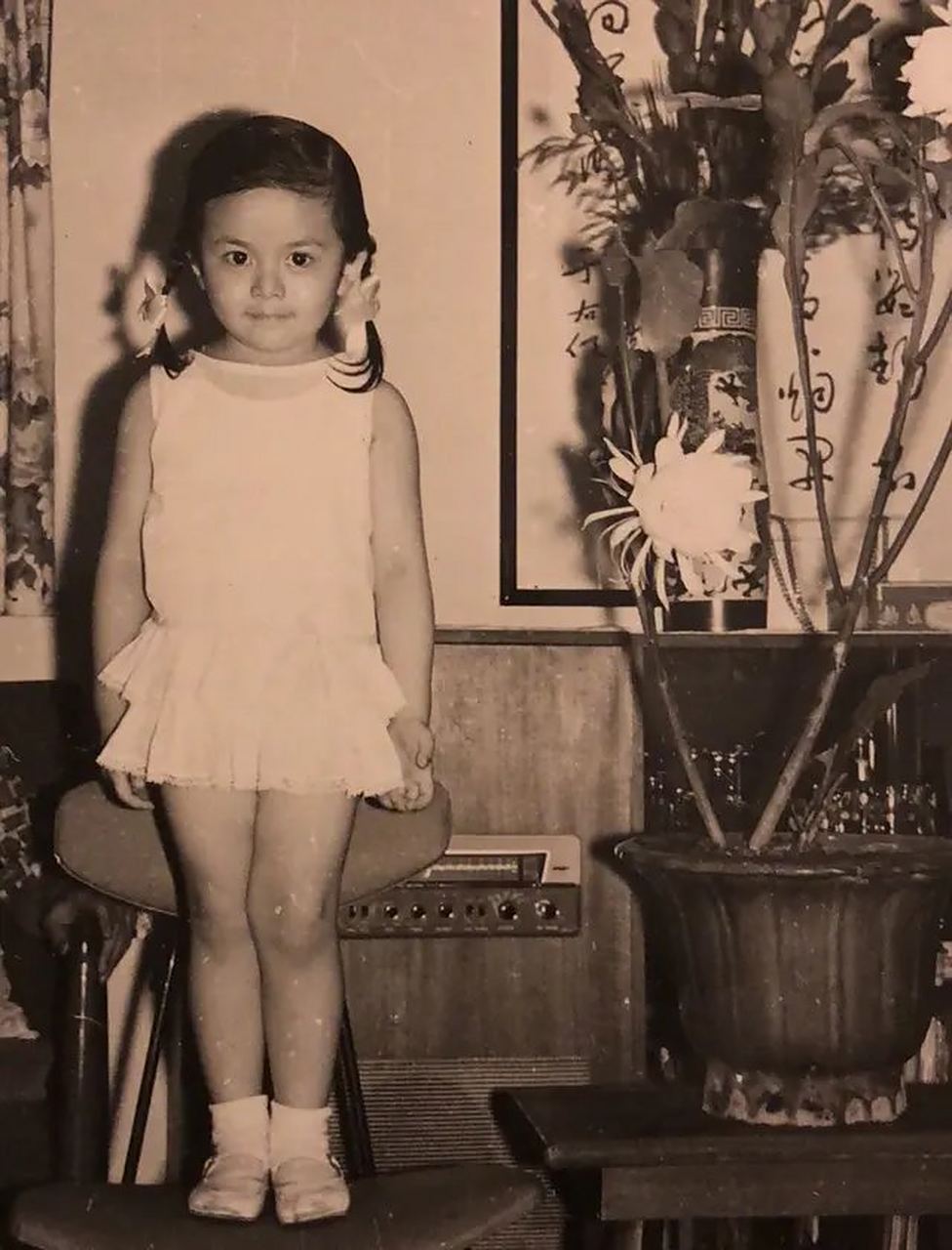 关之琳的父亲关山是首位国际华人影帝;母亲张冰茜是长城邵氏当红女