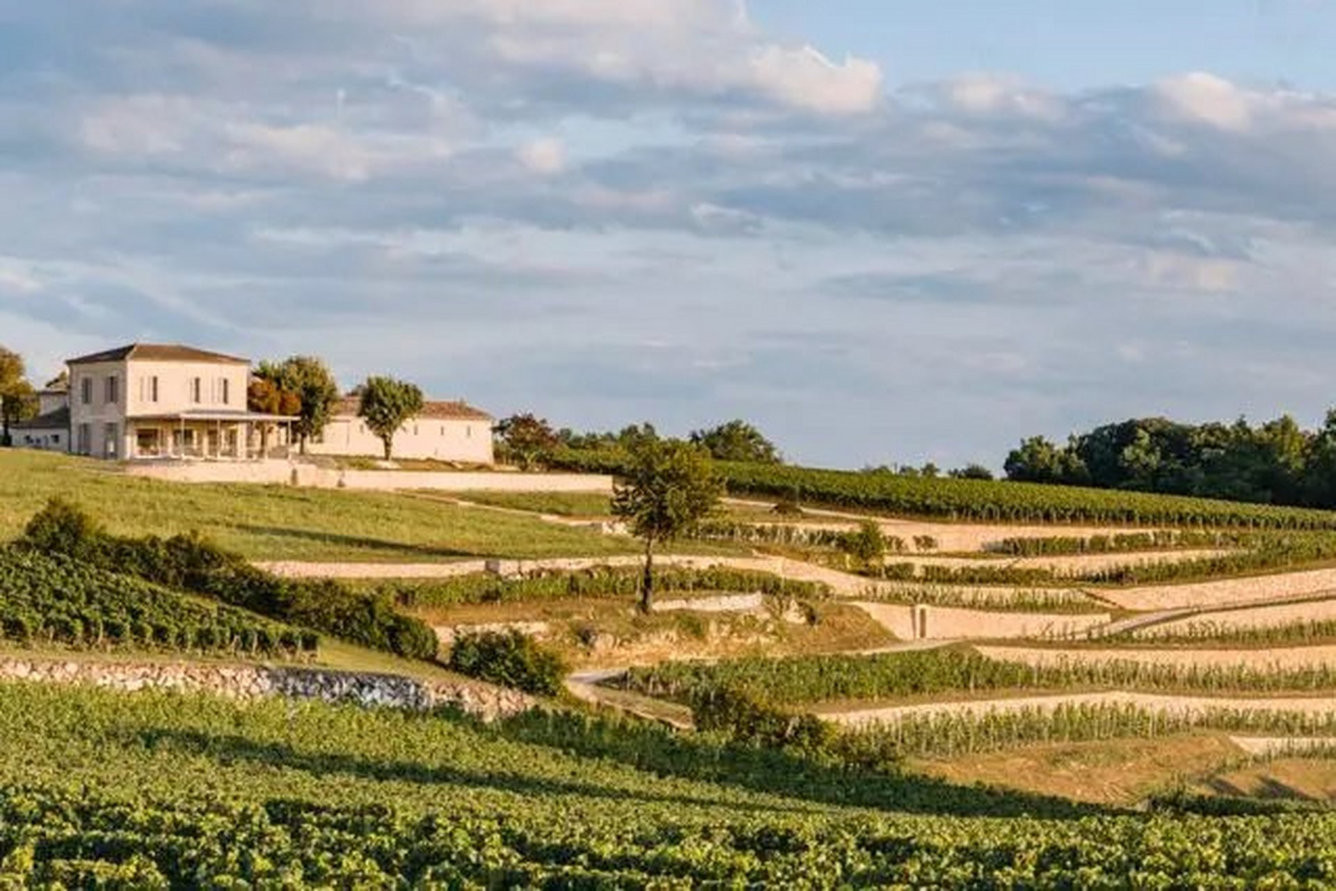 吃瓜爆料看这里# 赵薇更是在法国购买了梦洛酒庄,这酒庄拥有近400多