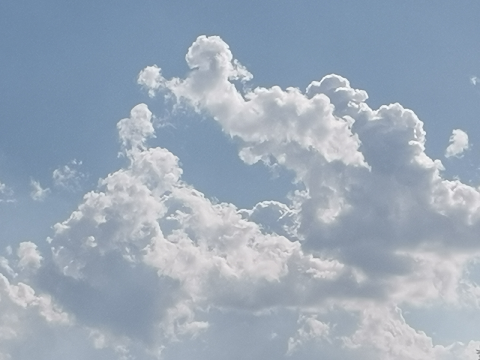 看云的形状 有的像动物 有的像人形 你看到的是啥? #动态连更挑战