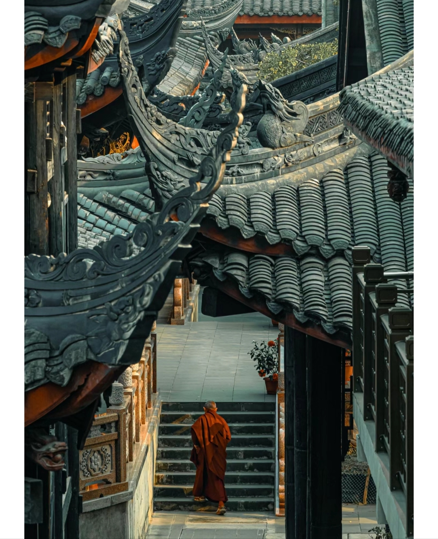 推荐成都三日游最佳略总结!