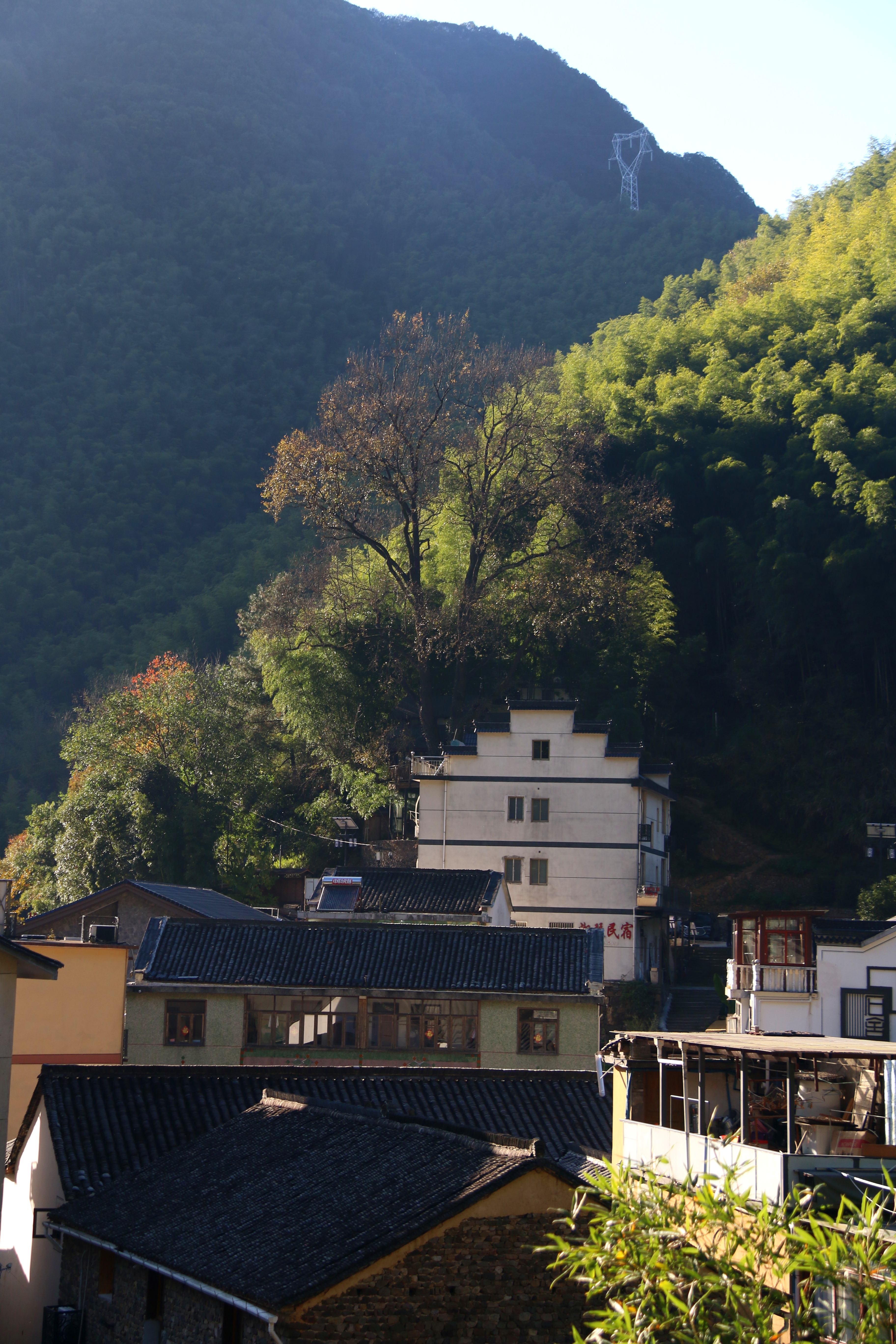 杭州最美古村落图片