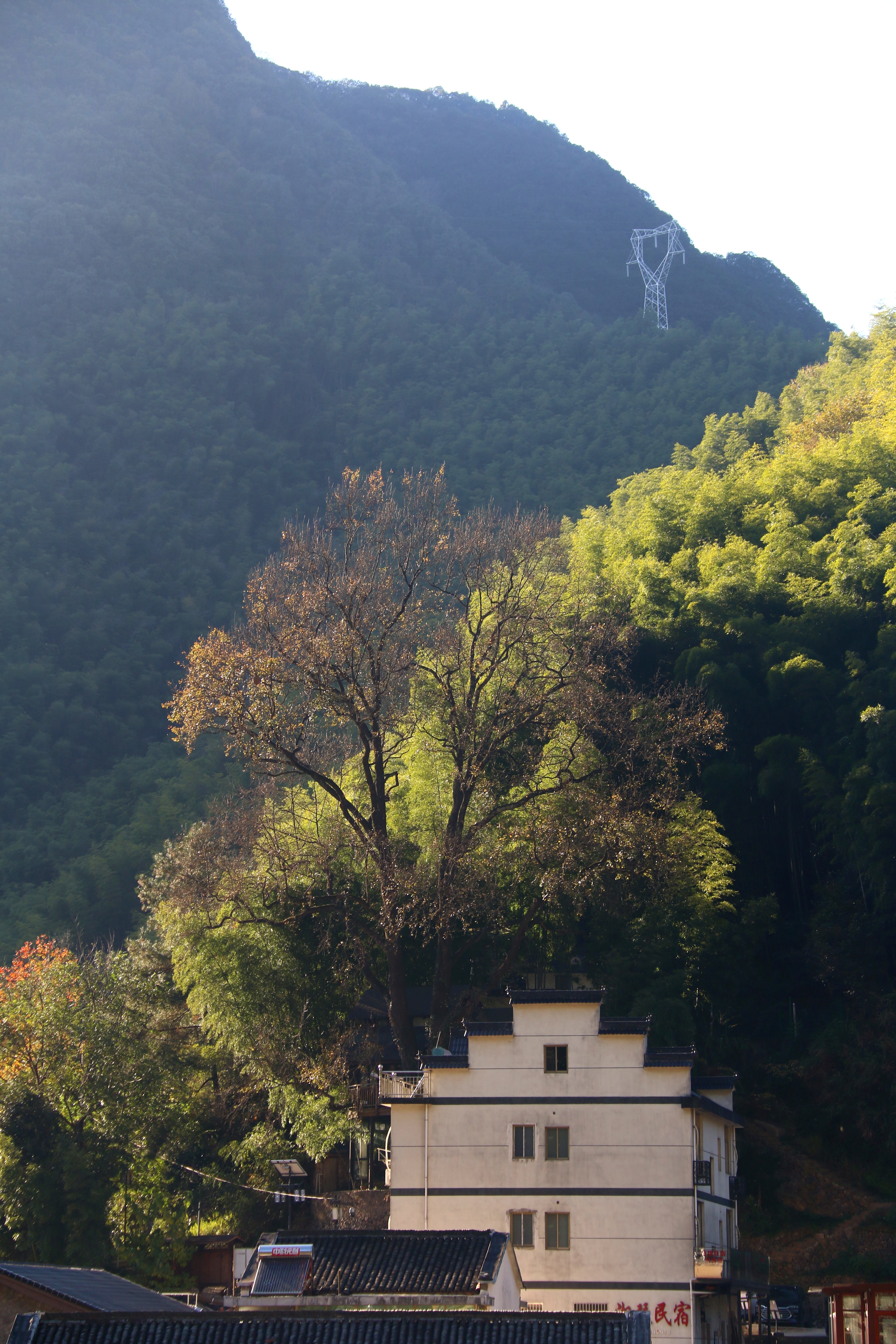 杭州最美古村落图片