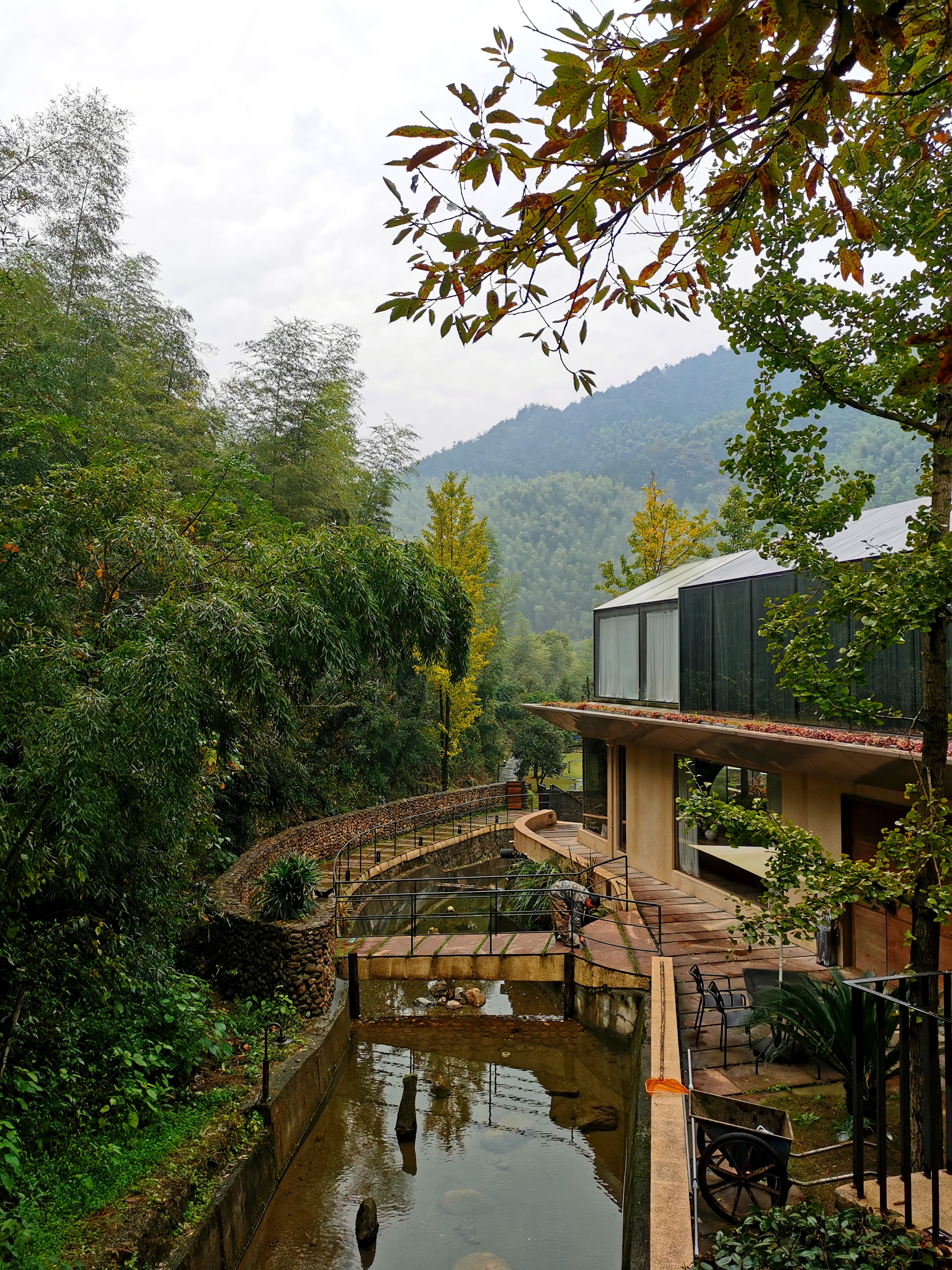 杭州桐庐天空秘岭民宿,是一个建在大山竹林里的绝美民宿.