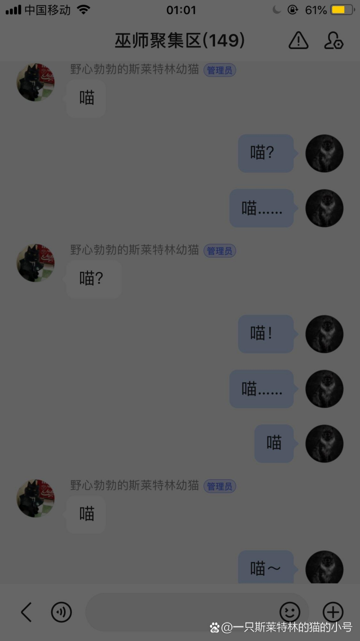 《關於群主和管理員都是貓這件事》 感興趣可以入群～#哈迷