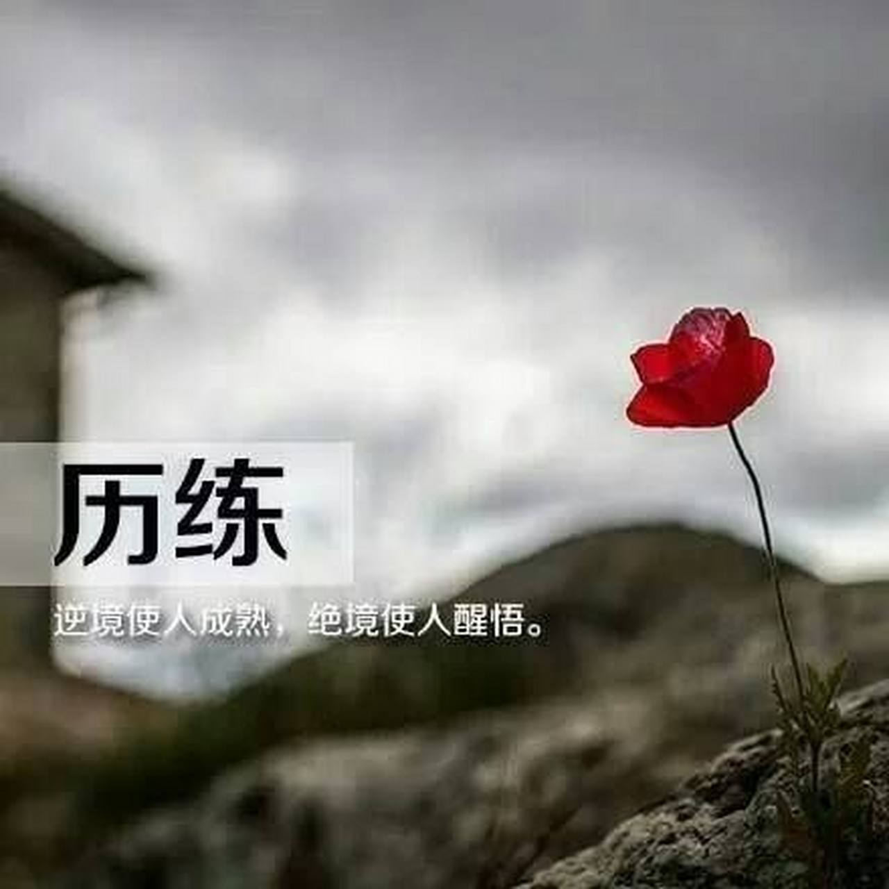 请记住,所有磨难都是你需要的历练道场!