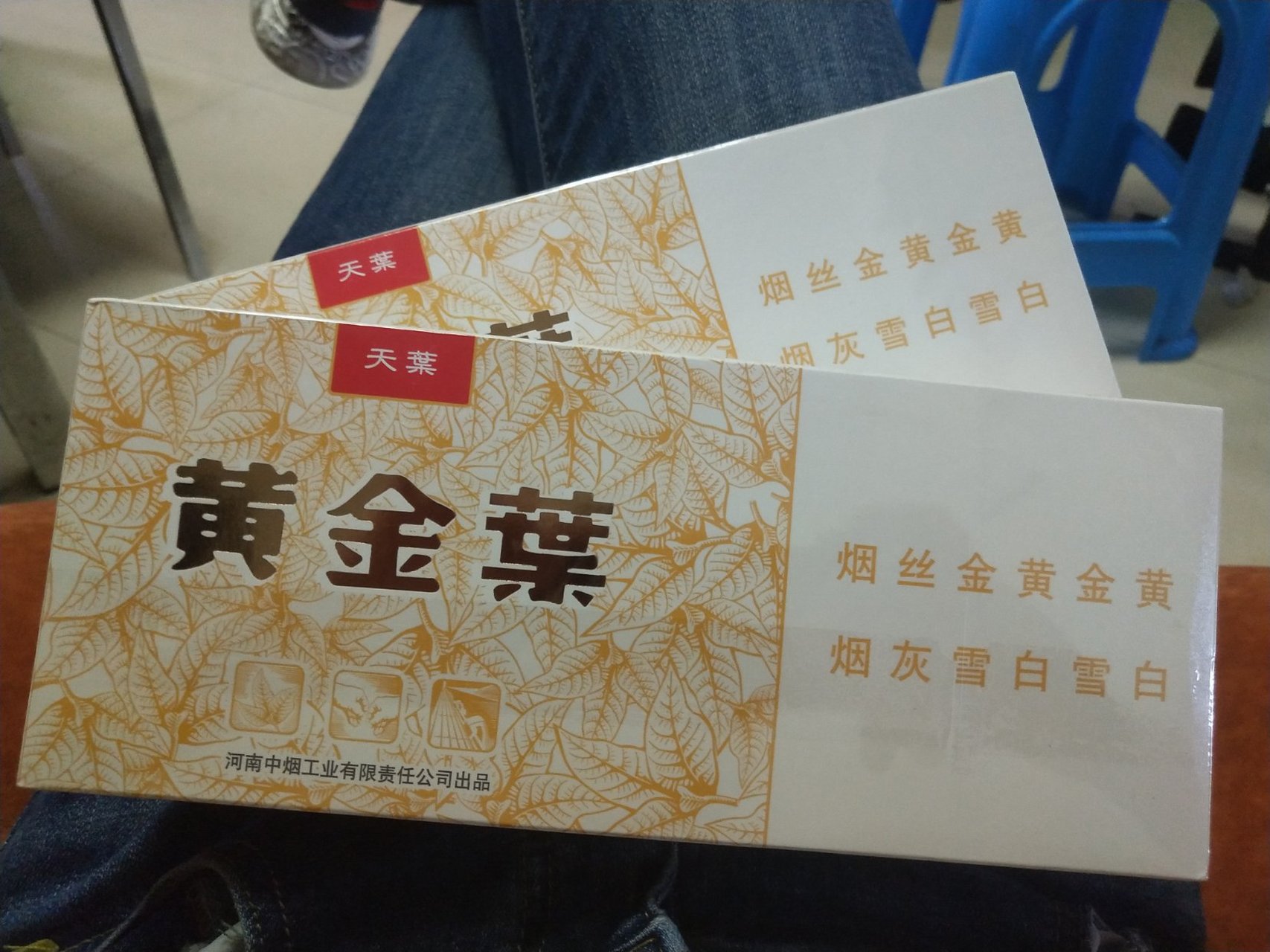 细支天叶整条图片图片