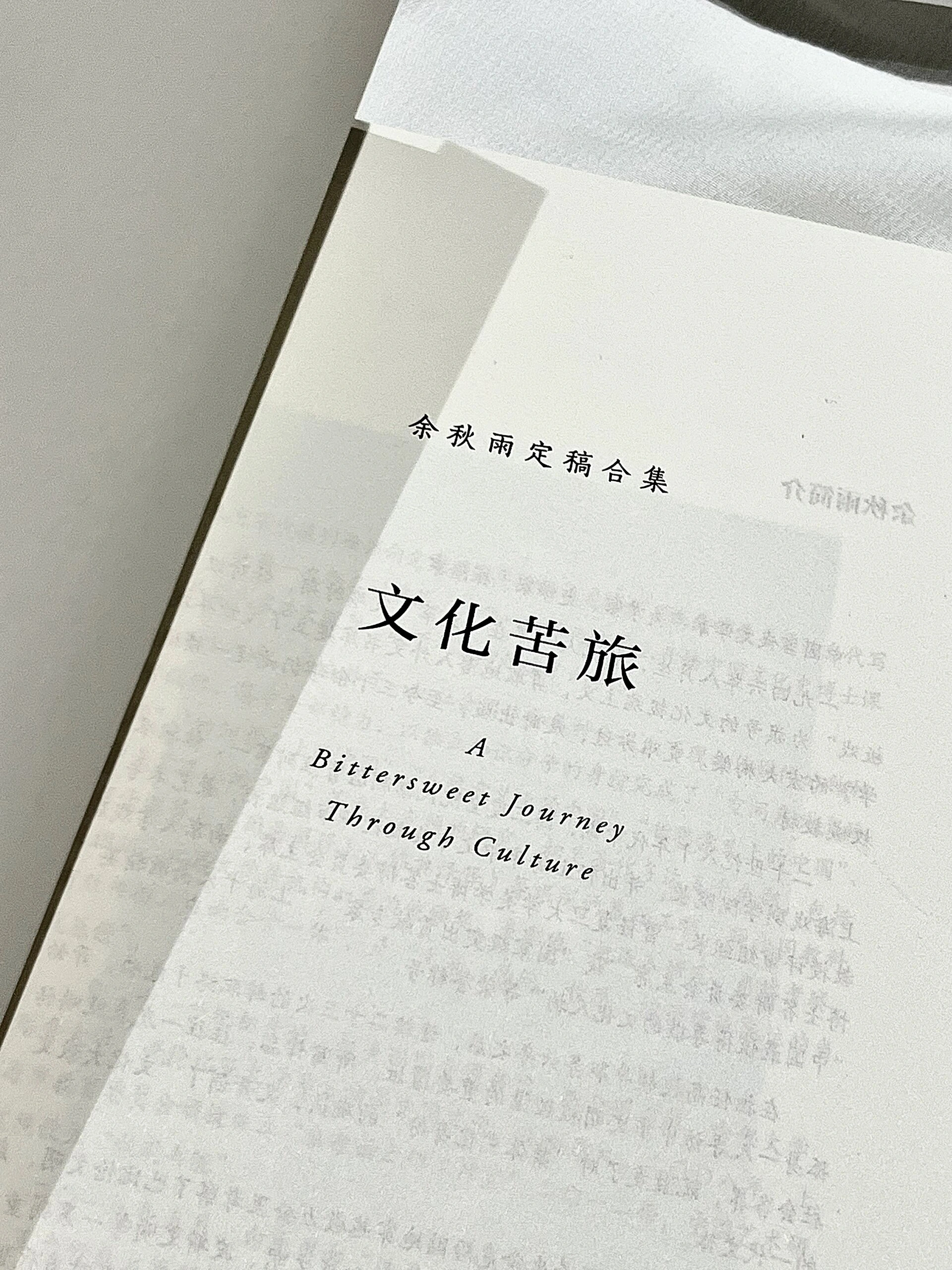 我的整个中学时期,这本《文化苦旅》常年居于我的枕边.