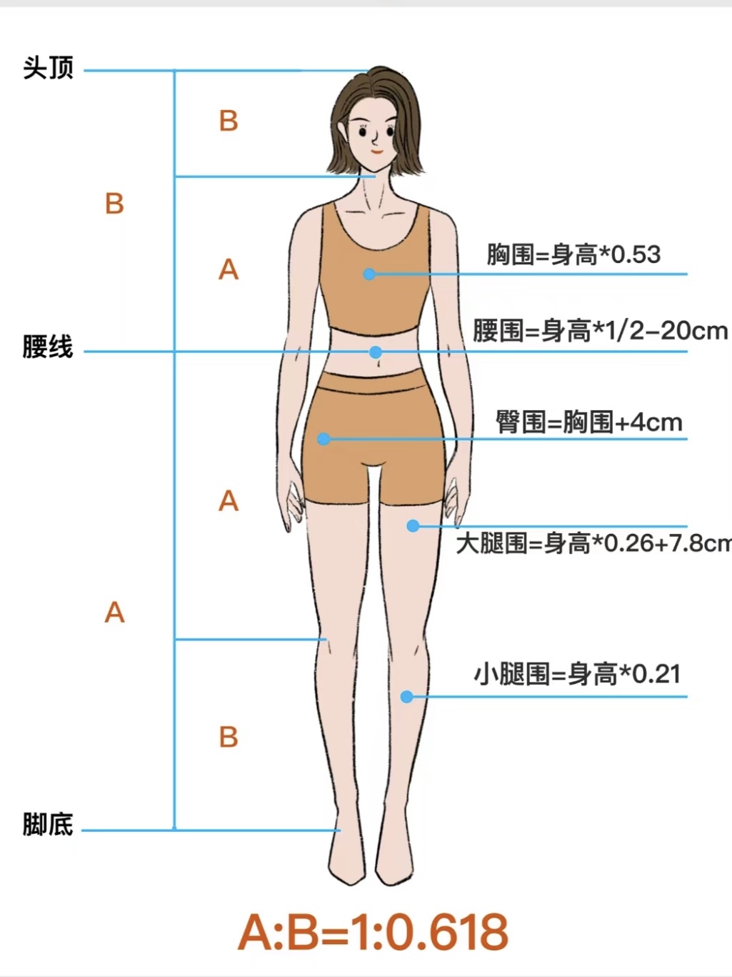 165女人三围黄金比例图片