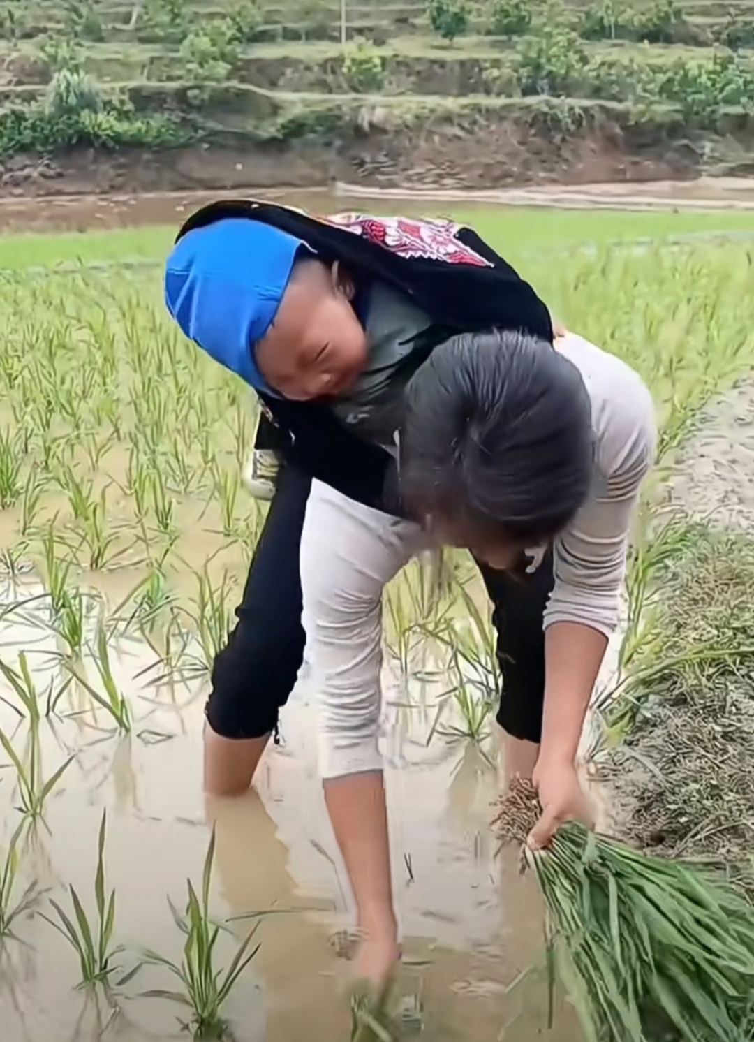 女人背孩子干活的图片图片