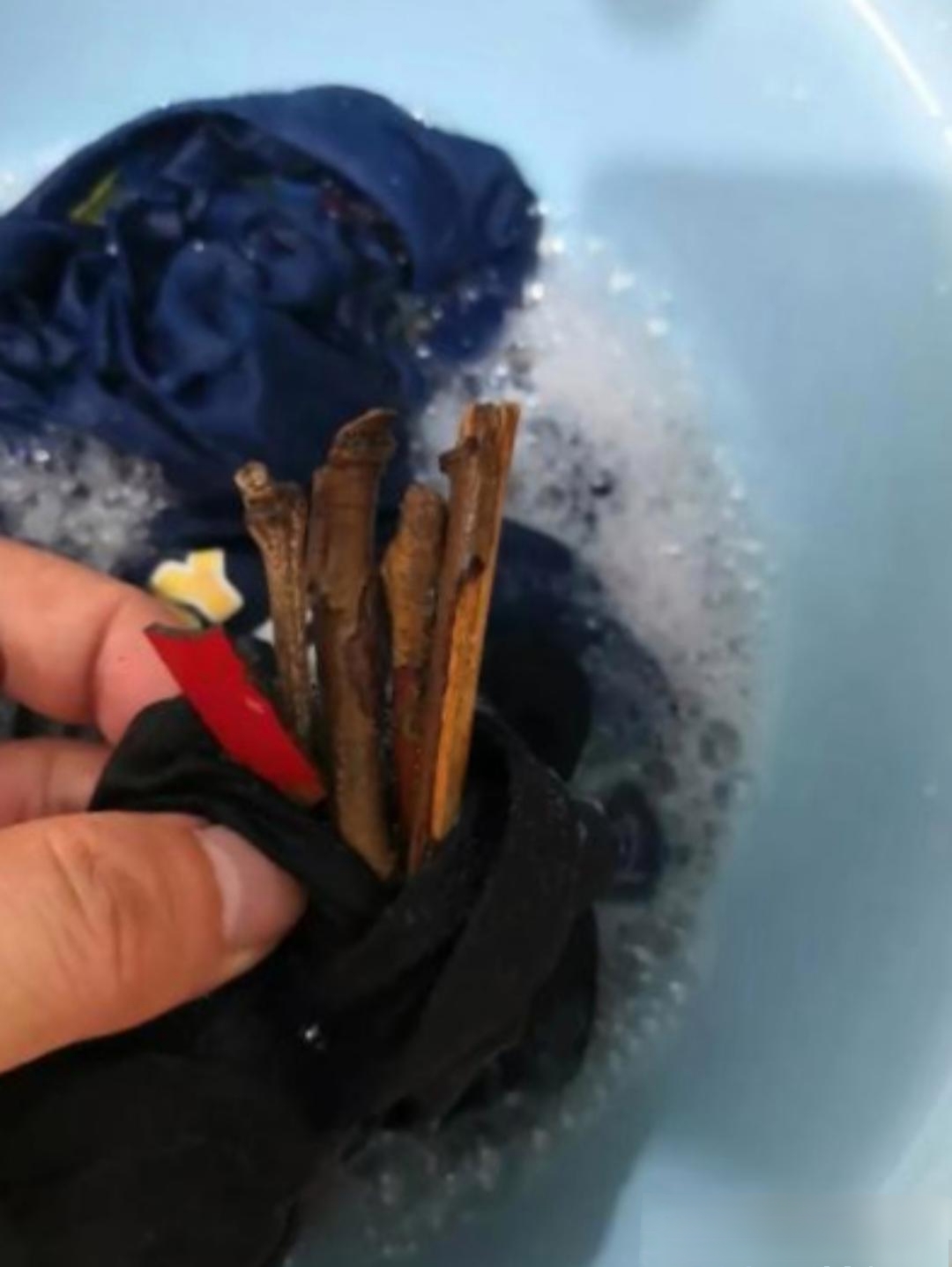 今天收拾房间,洗衣服,这东西是在儿子的裤兜里翻出来的,不晓得这是