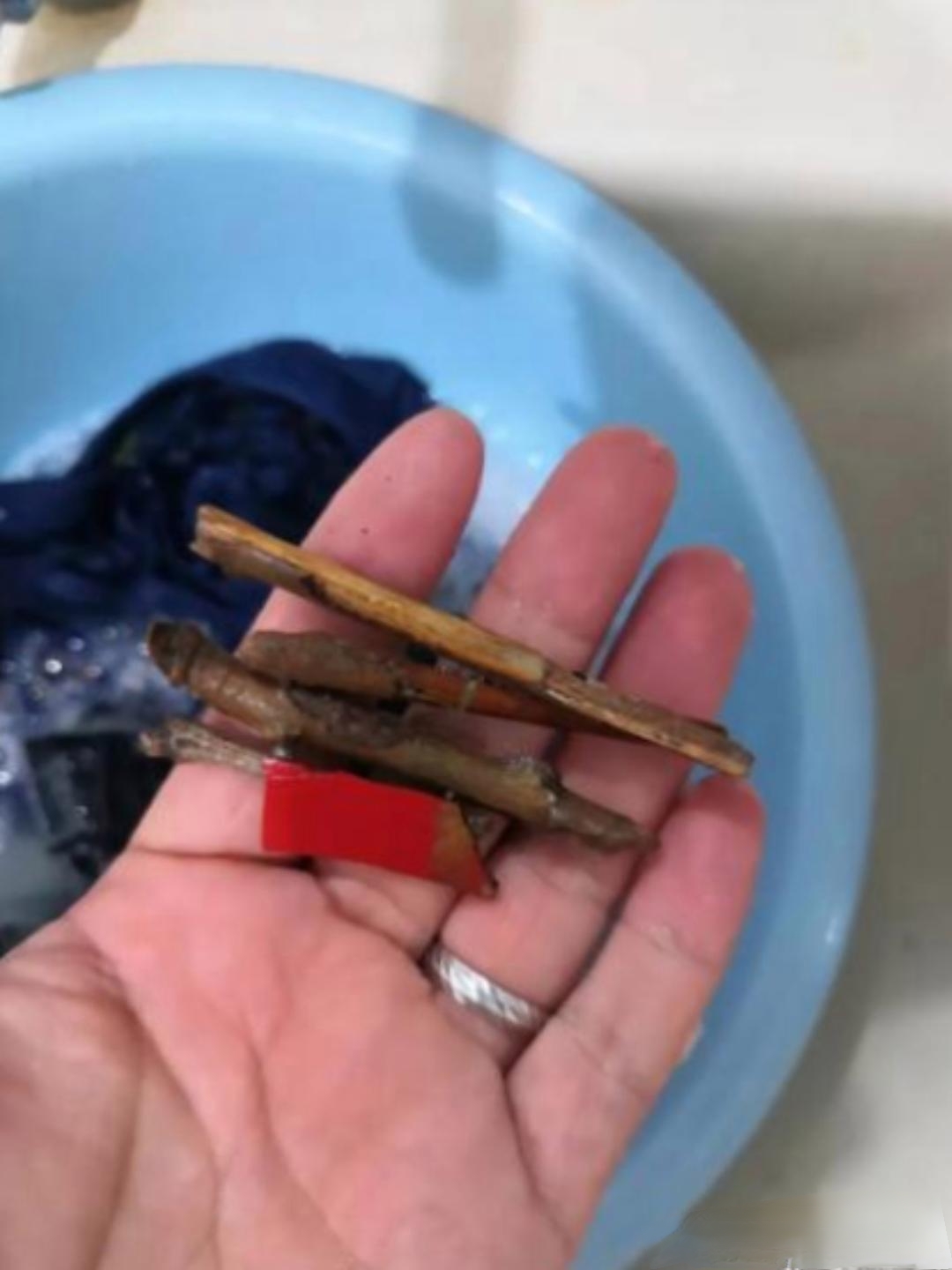 今天收拾房间,洗衣服,这东西是在儿子的裤兜里翻出来的,不晓得这是