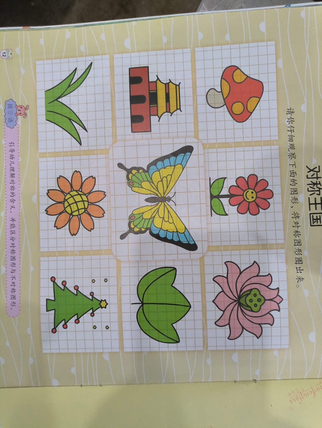 分辨哪些是对称图
